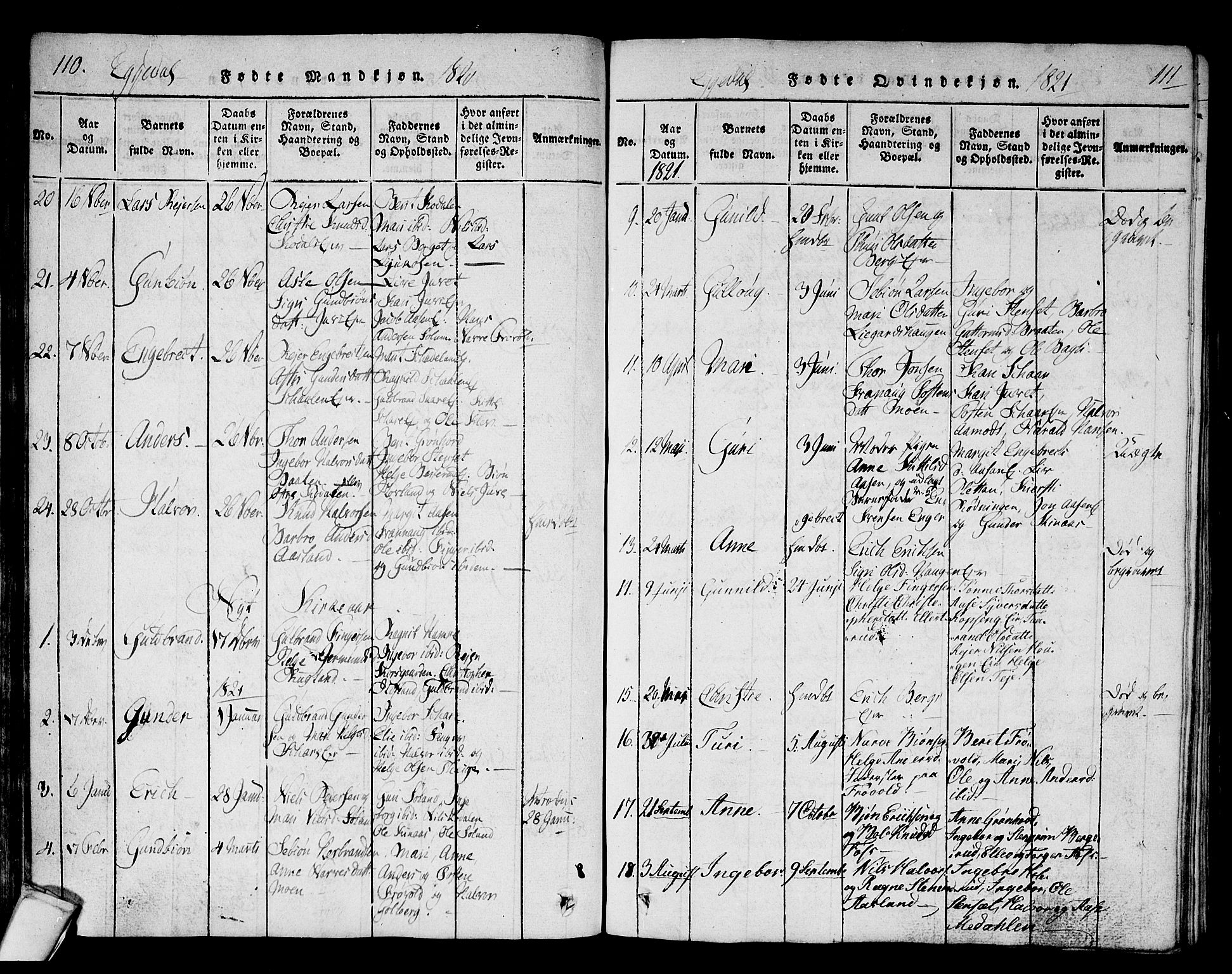 Sigdal kirkebøker, AV/SAKO-A-245/F/Fa/L0005: Parish register (official) no. I 5 /2, 1815-1829, p. 110-111