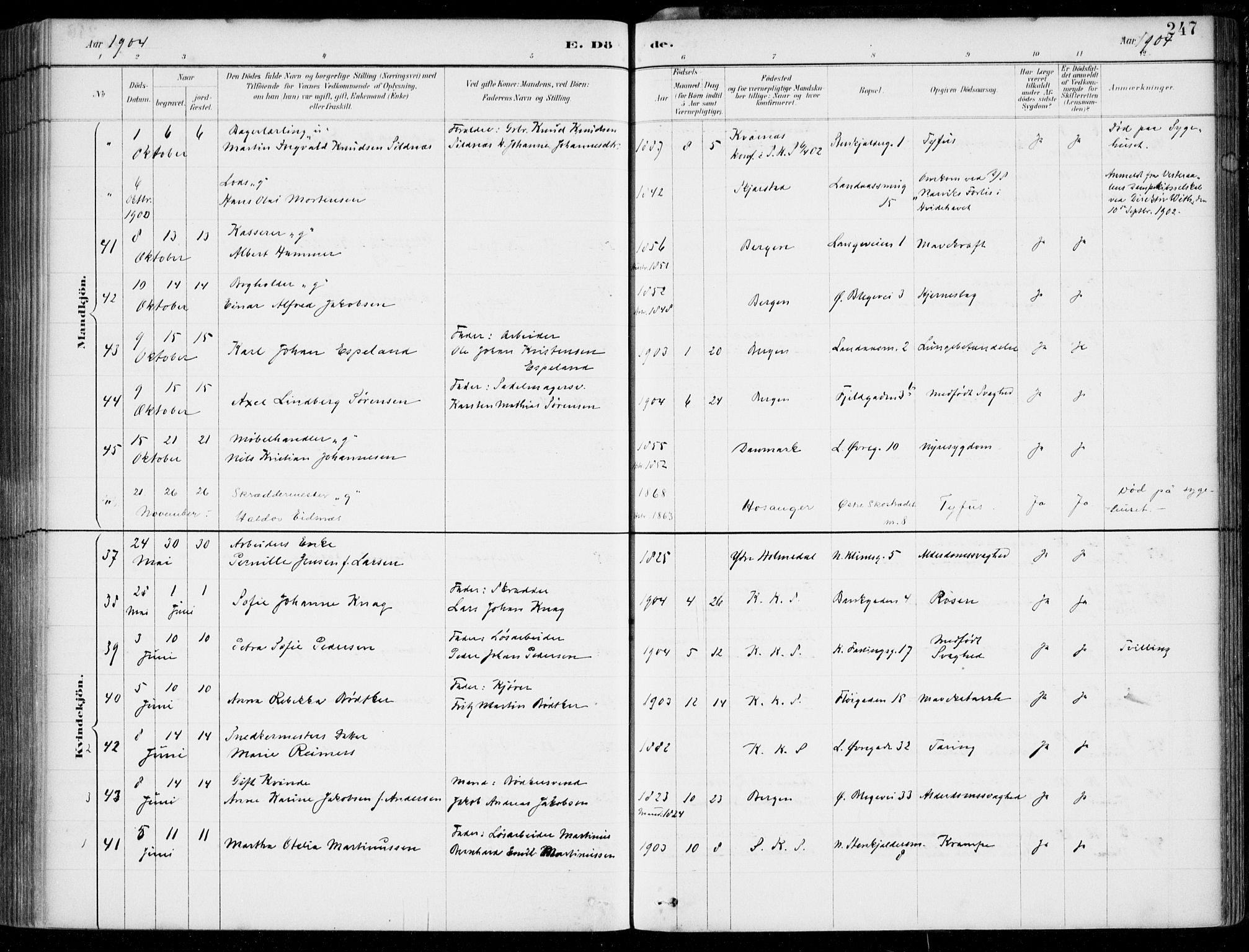 Korskirken sokneprestembete, SAB/A-76101/H/Hab: Parish register (copy) no. E 4, 1884-1910, p. 247