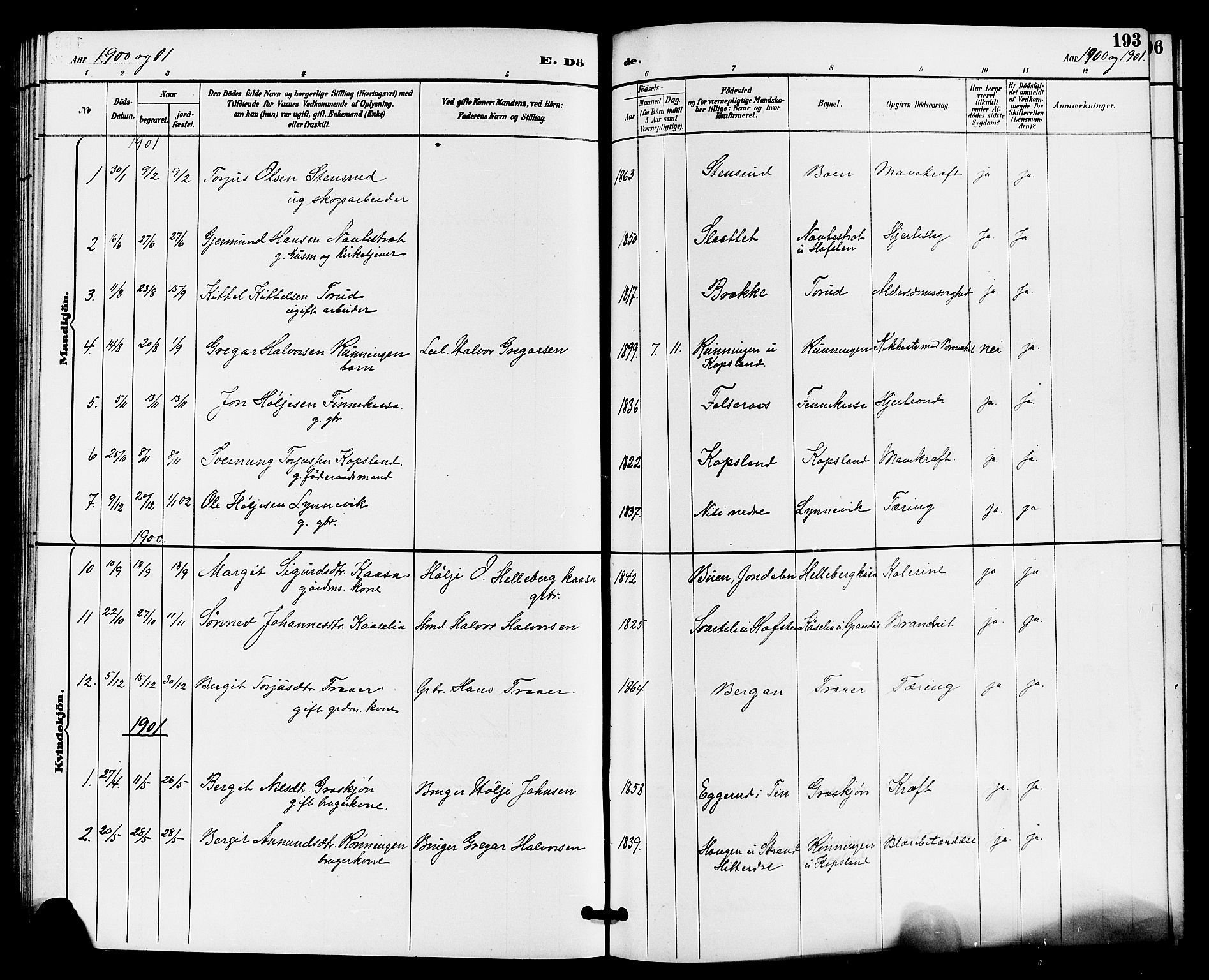Gransherad kirkebøker, SAKO/A-267/G/Ga/L0003: Parish register (copy) no. I 3, 1887-1915, p. 193