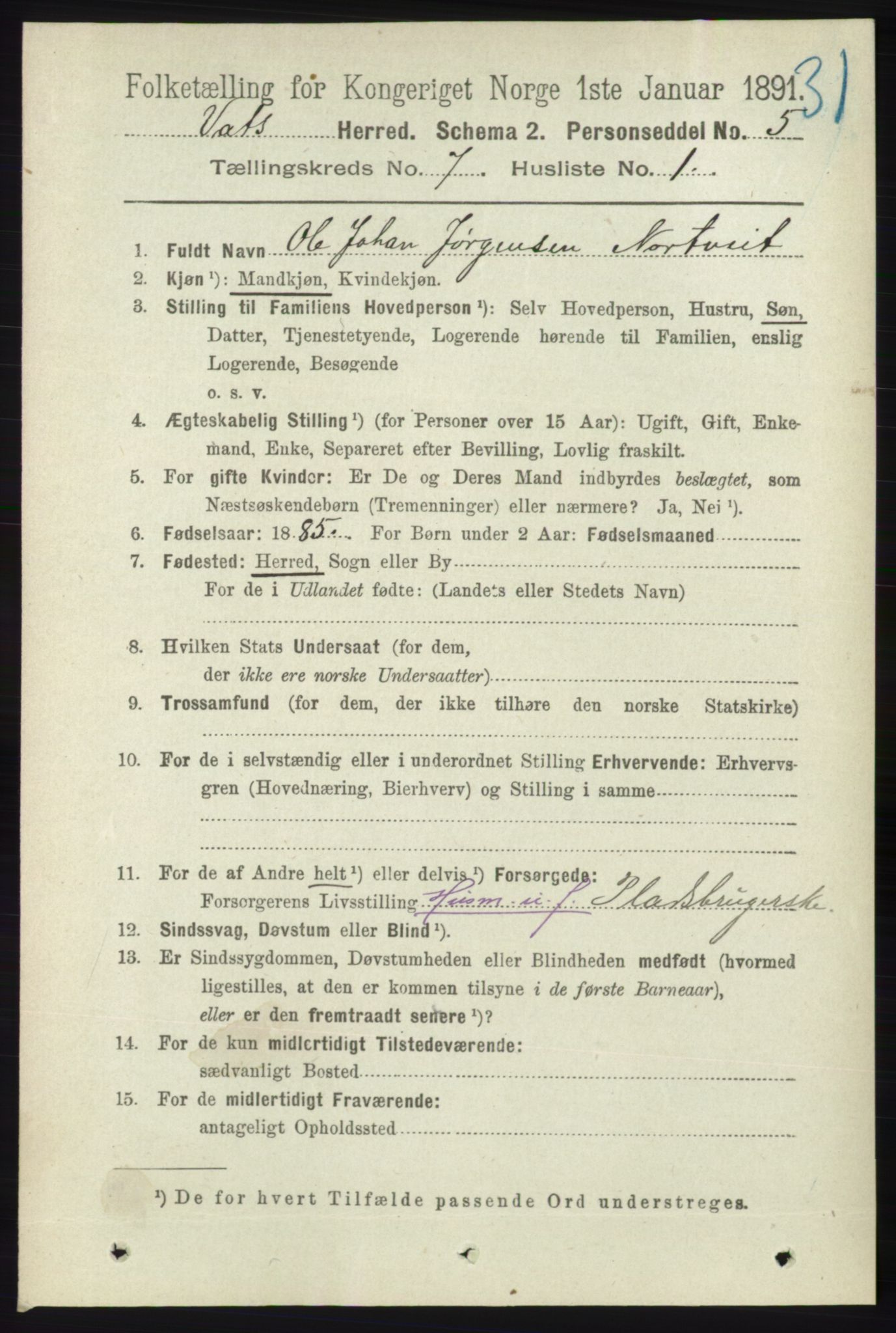 RA, 1891 census for 1155 Vats, 1891, p. 1104