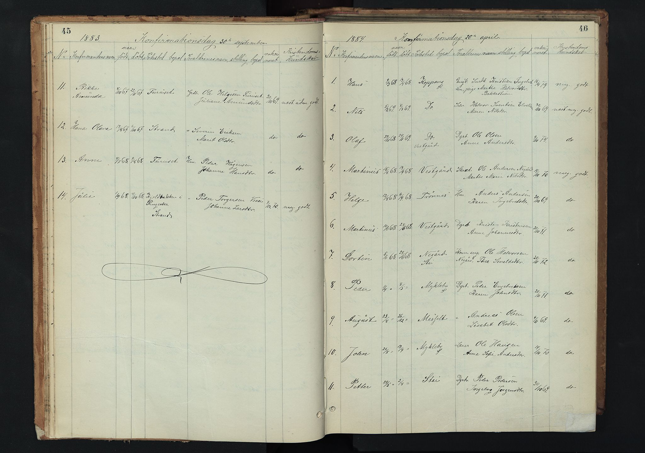 Stor-Elvdal prestekontor, SAH/PREST-052/H/Ha/Hab/L0002: Parish register (copy) no. 2, 1860-1894, p. 45-46