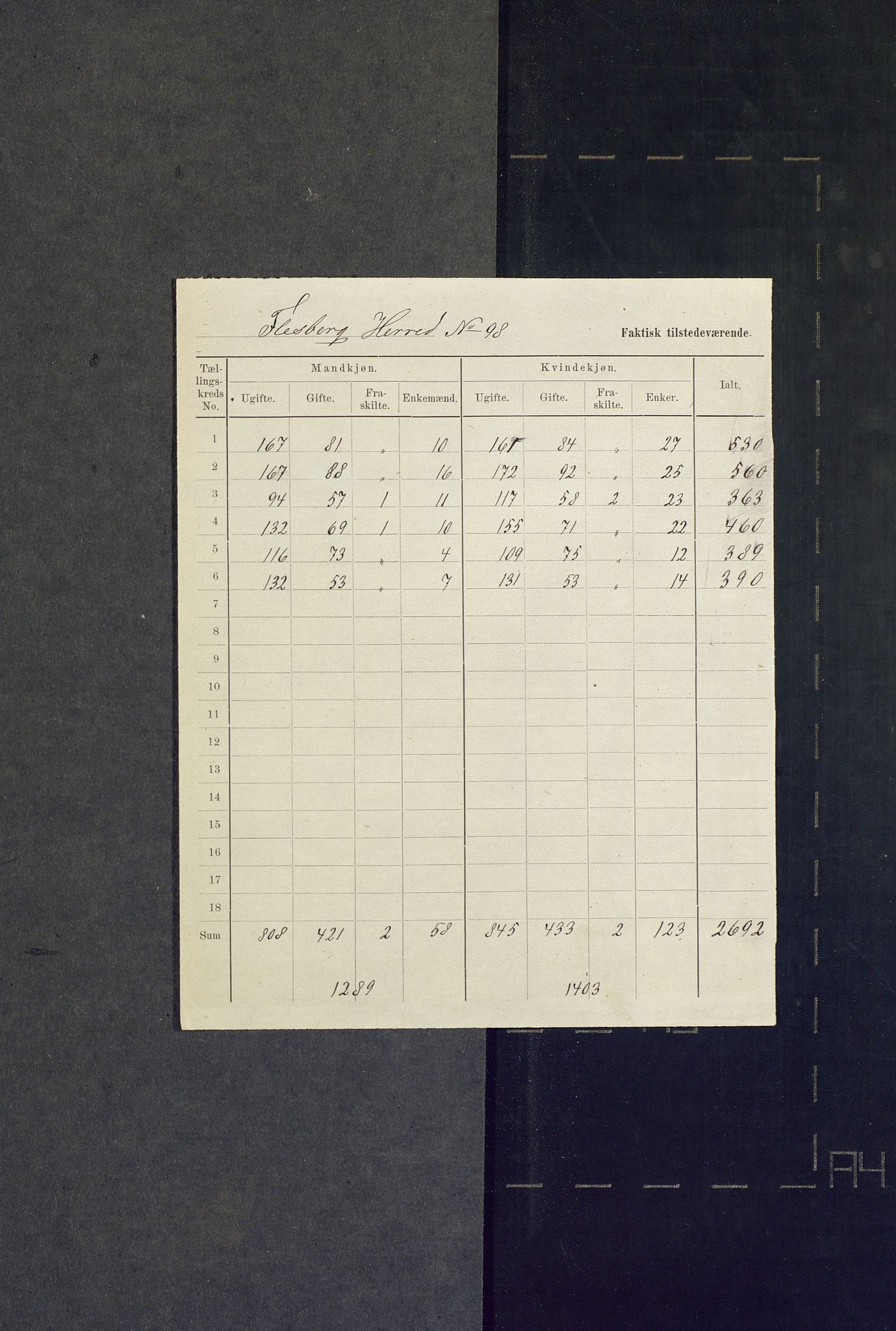 SAKO, 1875 census for 0631P Flesberg, 1875, p. 49