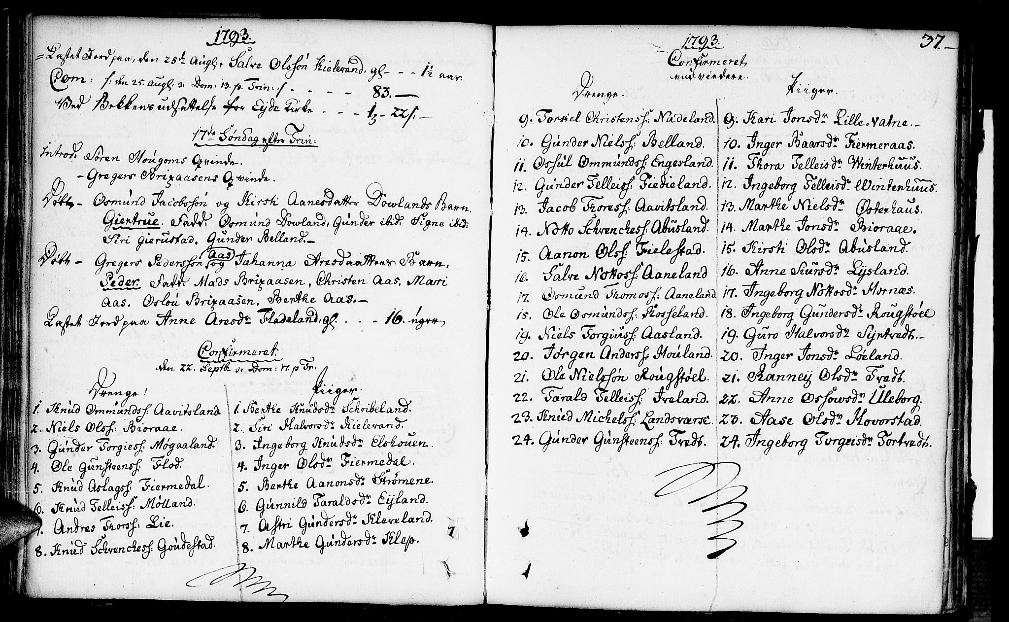 Herefoss sokneprestkontor, AV/SAK-1111-0019/F/Fa/Fab/L0002: Parish register (official) no. A 2, 1780-1816, p. 37