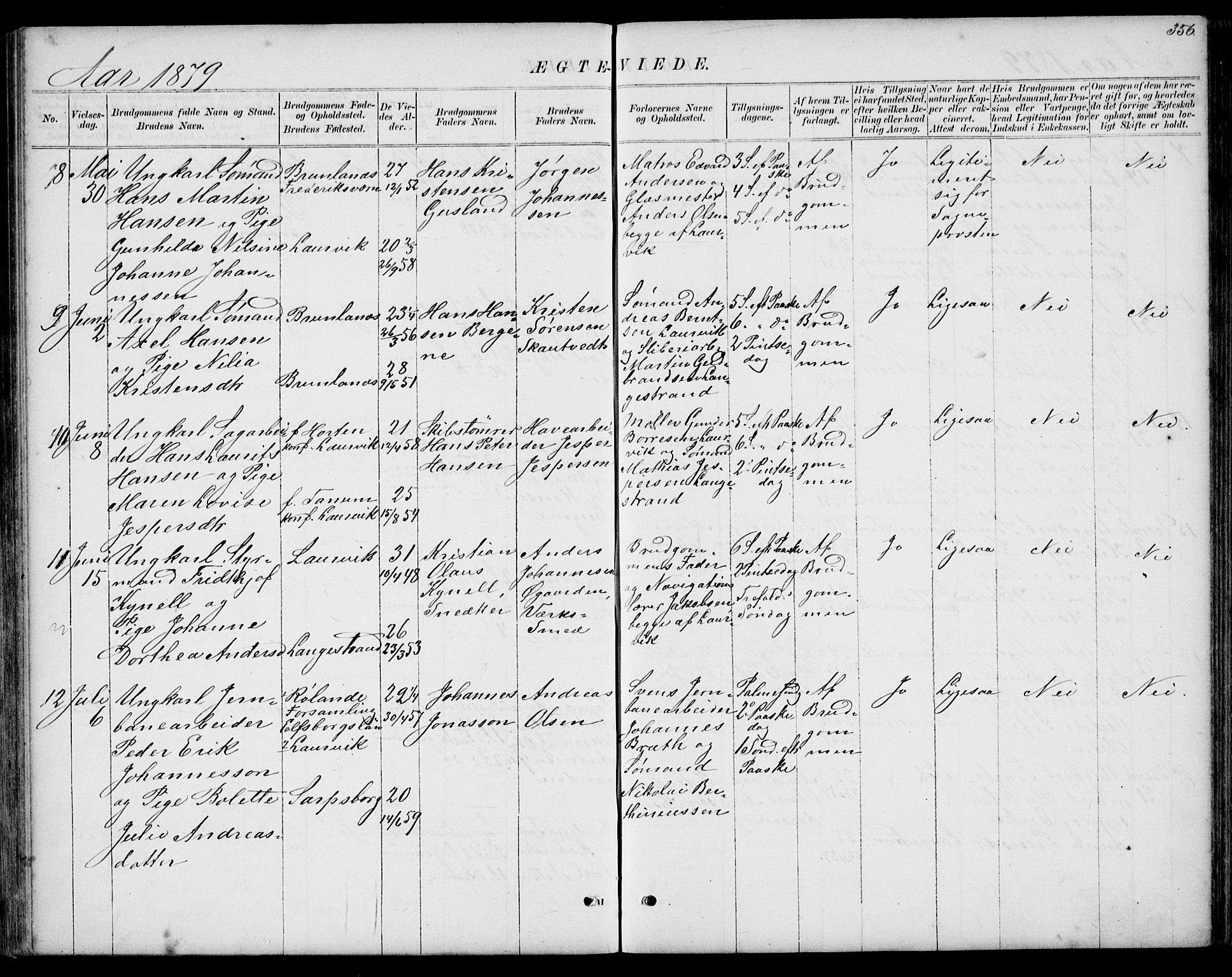 Larvik kirkebøker, AV/SAKO-A-352/G/Gb/L0003: Parish register (copy) no. II 3, 1867-1899, p. 356