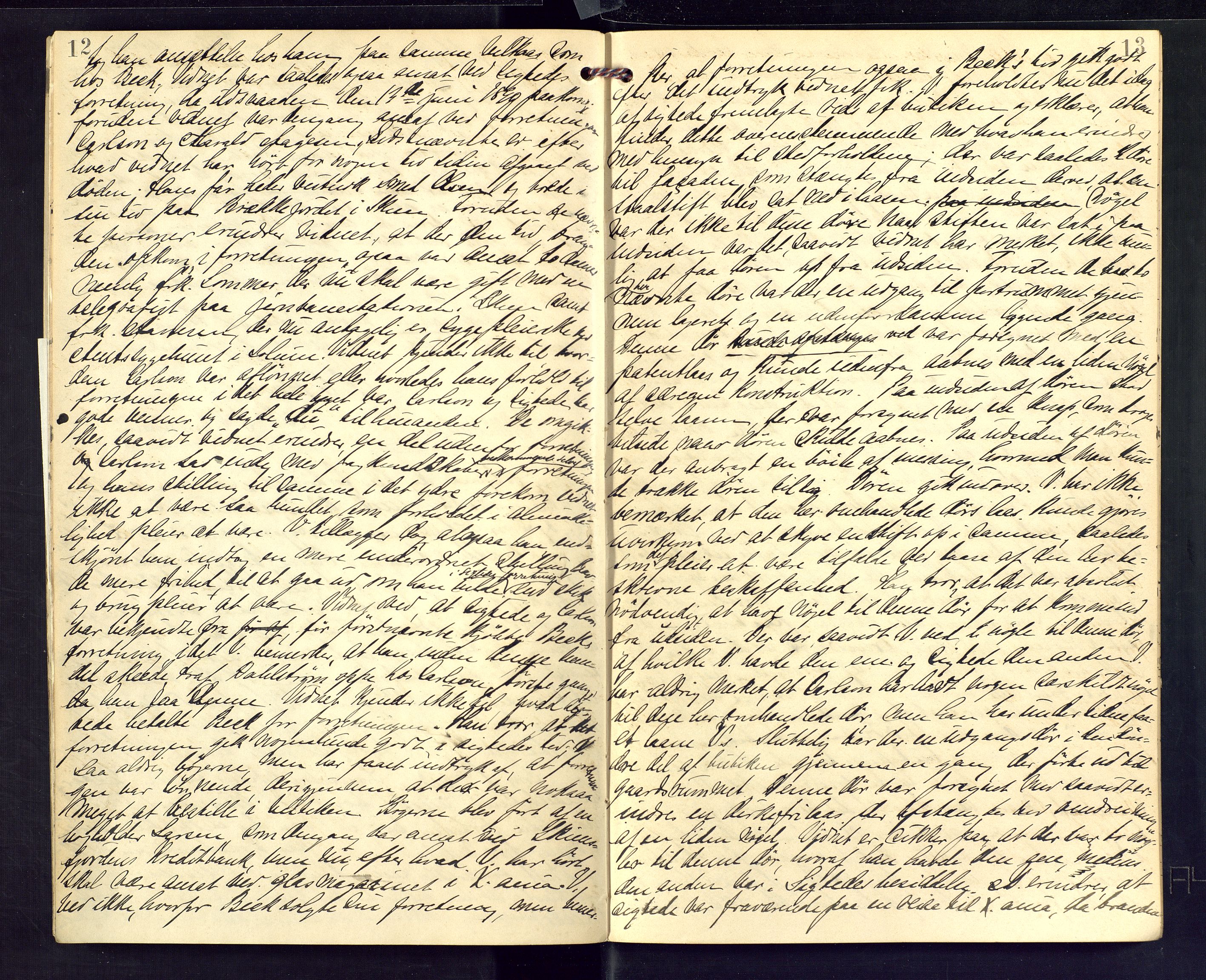 Skien byfogd, AV/SAKO-A-219/F/Fb/L0011b: Forhørsprotokoll, 1894, p. 12-13