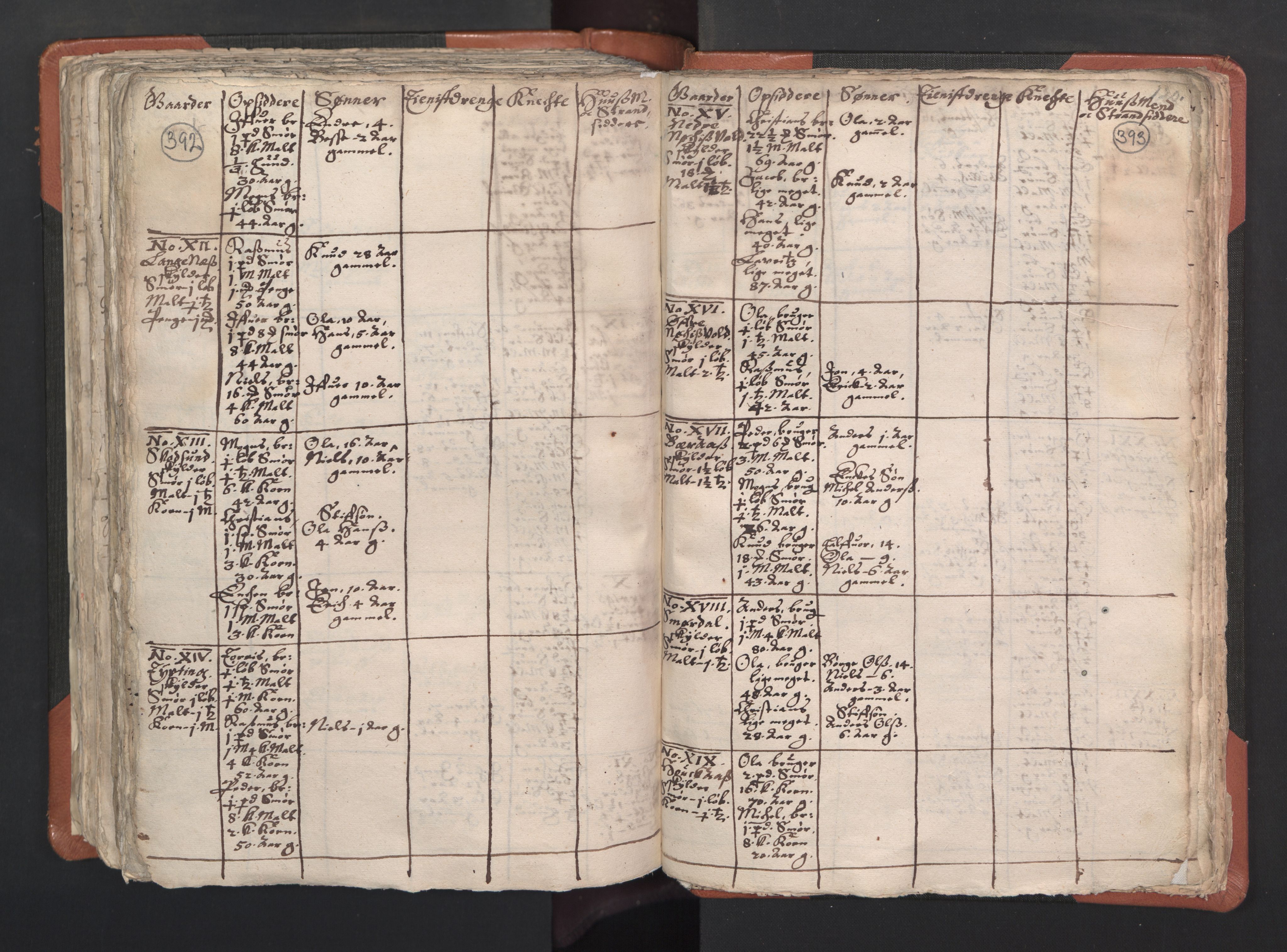 RA, Vicar's Census 1664-1666, no. 22: Nordhordland deanery, 1664-1666, p. 392-393