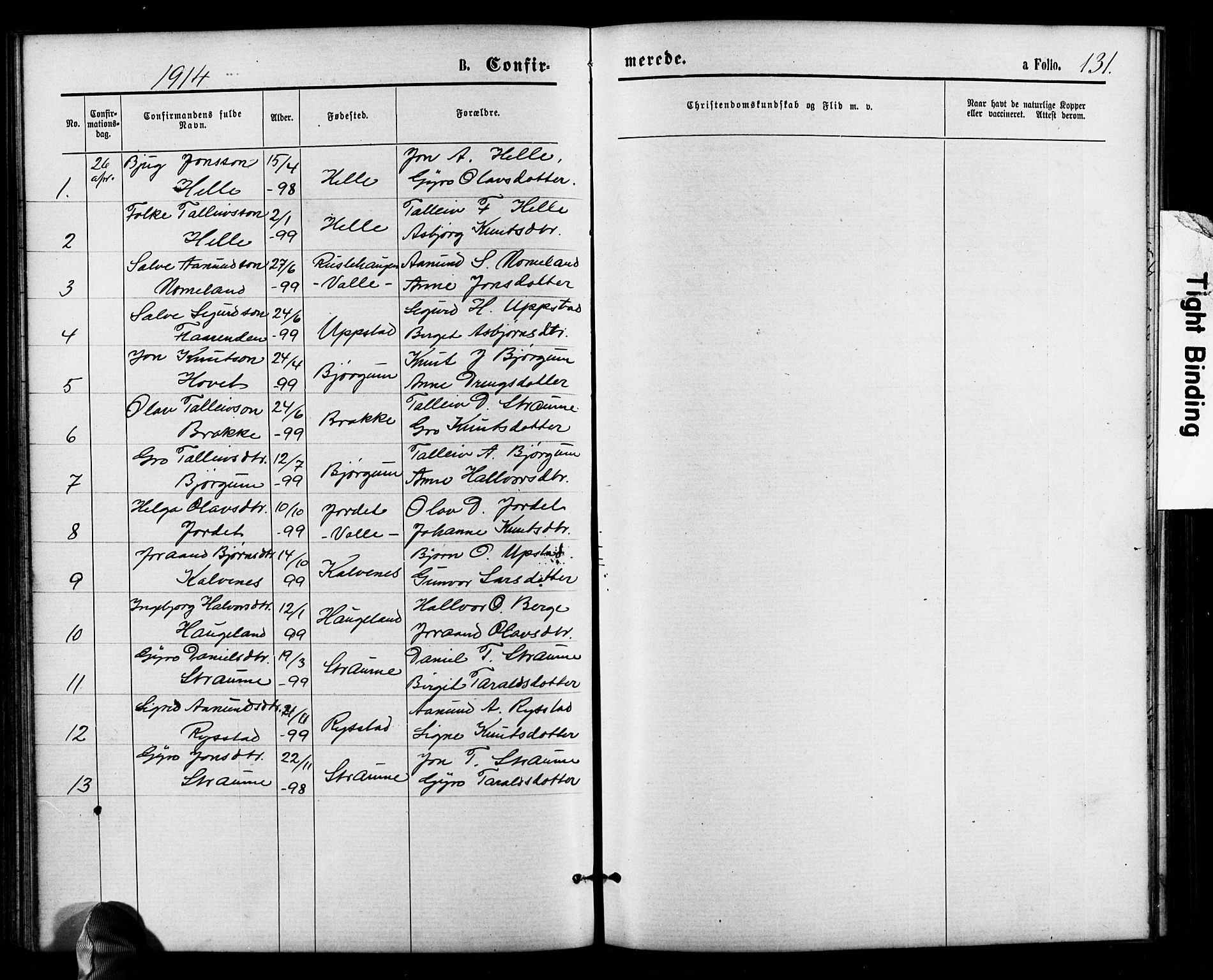 Valle sokneprestkontor, SAK/1111-0044/F/Fb/Fbb/L0002: Parish register (copy) no. B 2, 1875-1921, p. 131