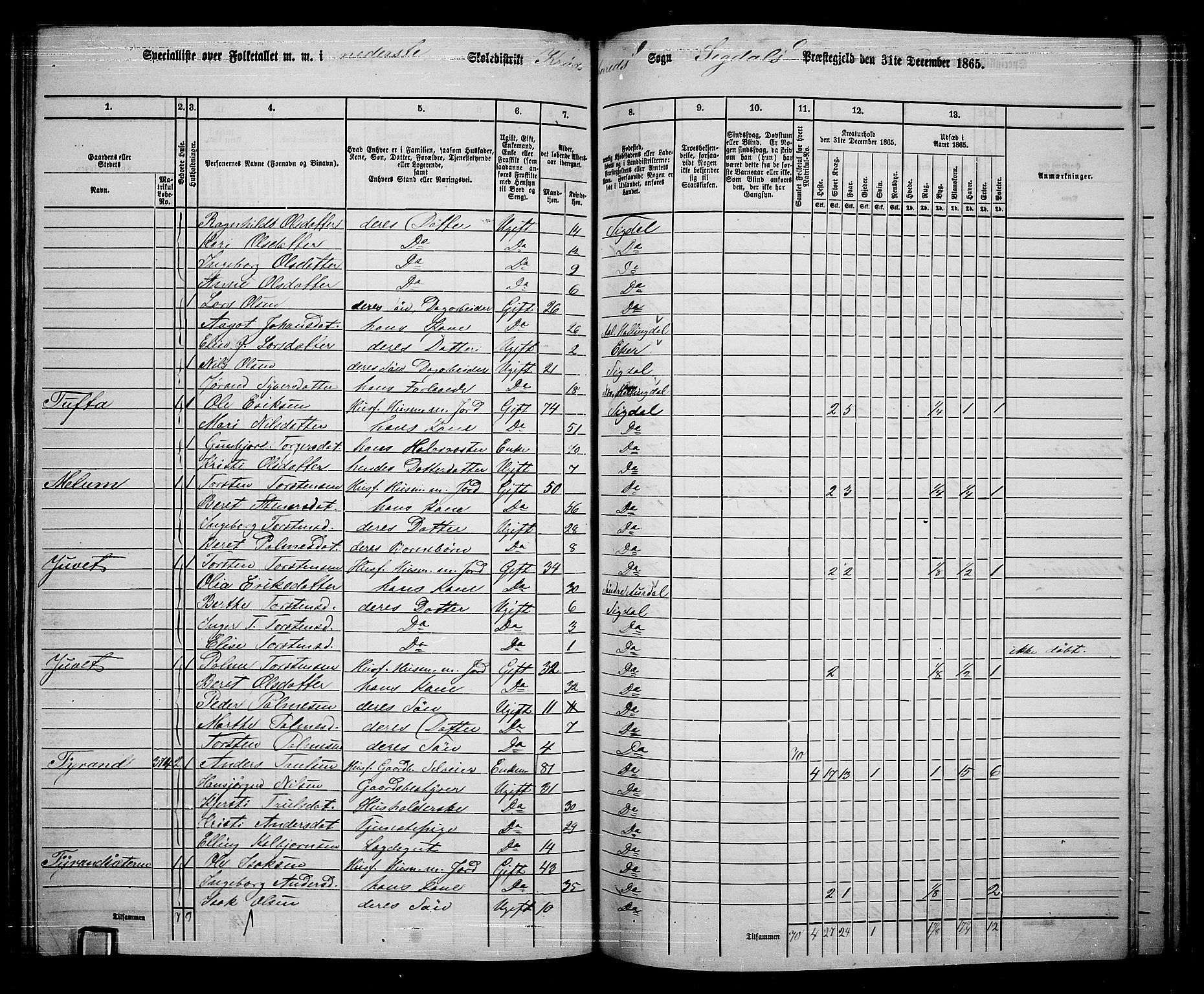 RA, 1865 census for Sigdal, 1865, p. 197