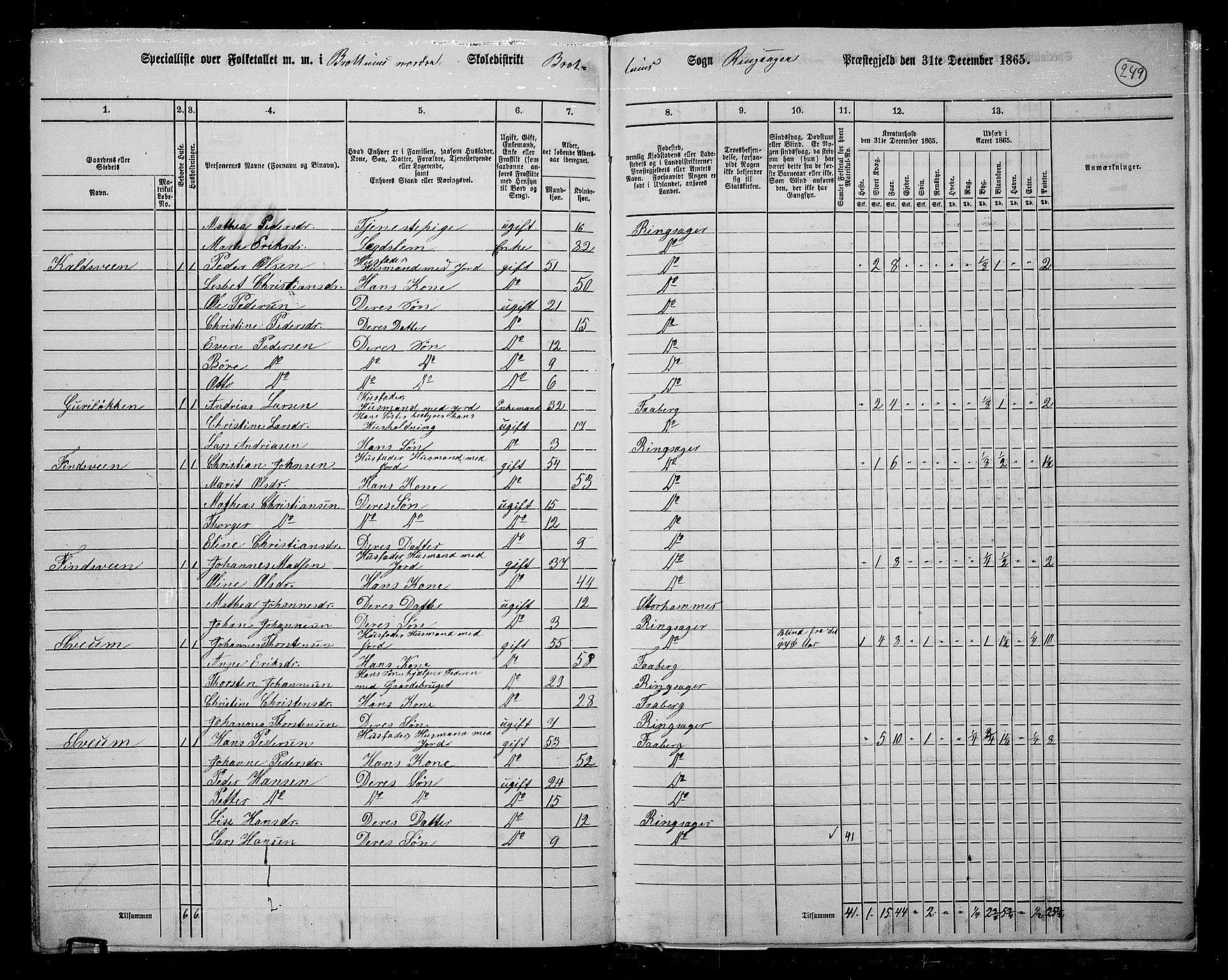 RA, 1865 census for Ringsaker, 1865, p. 483