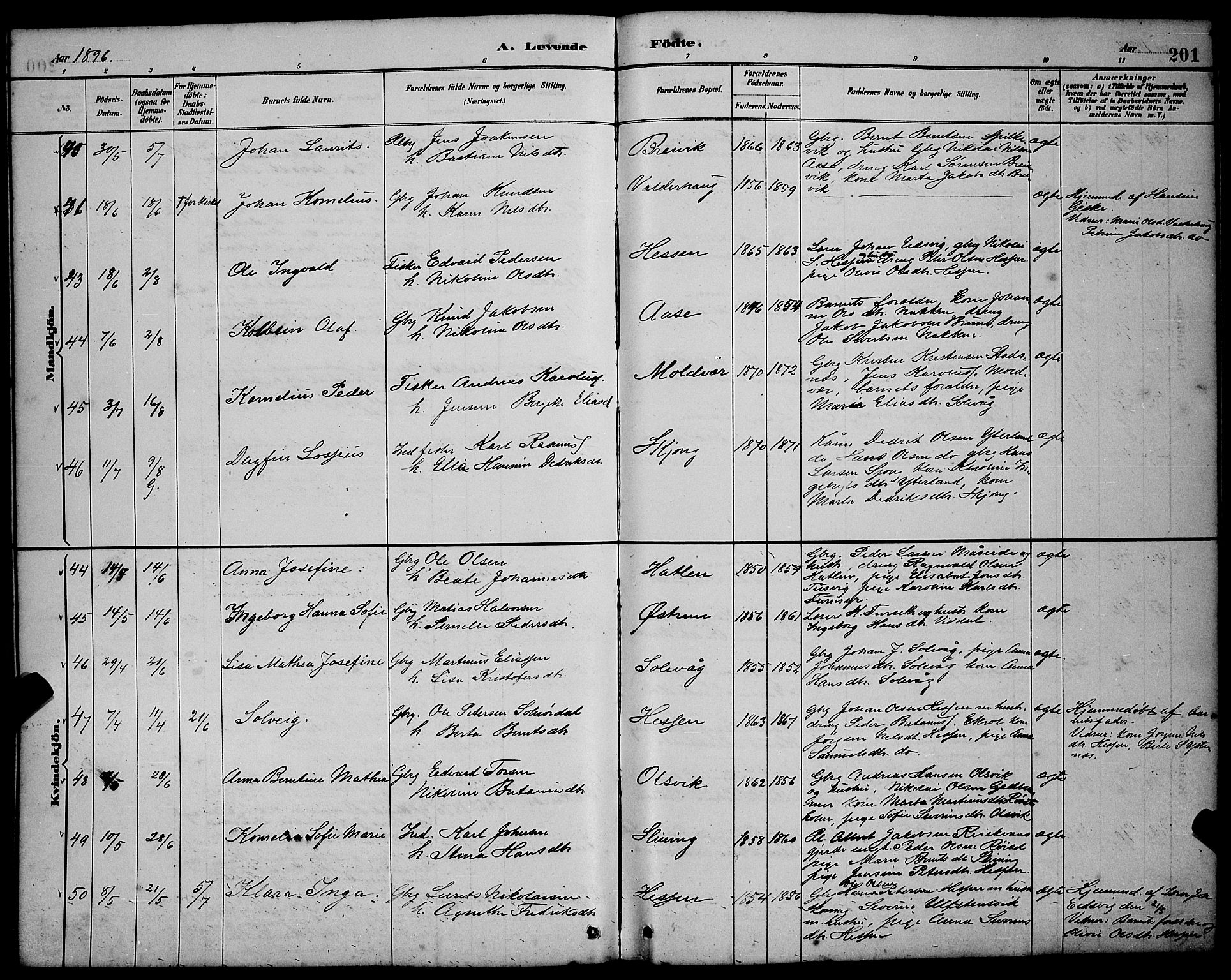 Ministerialprotokoller, klokkerbøker og fødselsregistre - Møre og Romsdal, AV/SAT-A-1454/528/L0431: Parish register (copy) no. 528C12, 1885-1898, p. 201