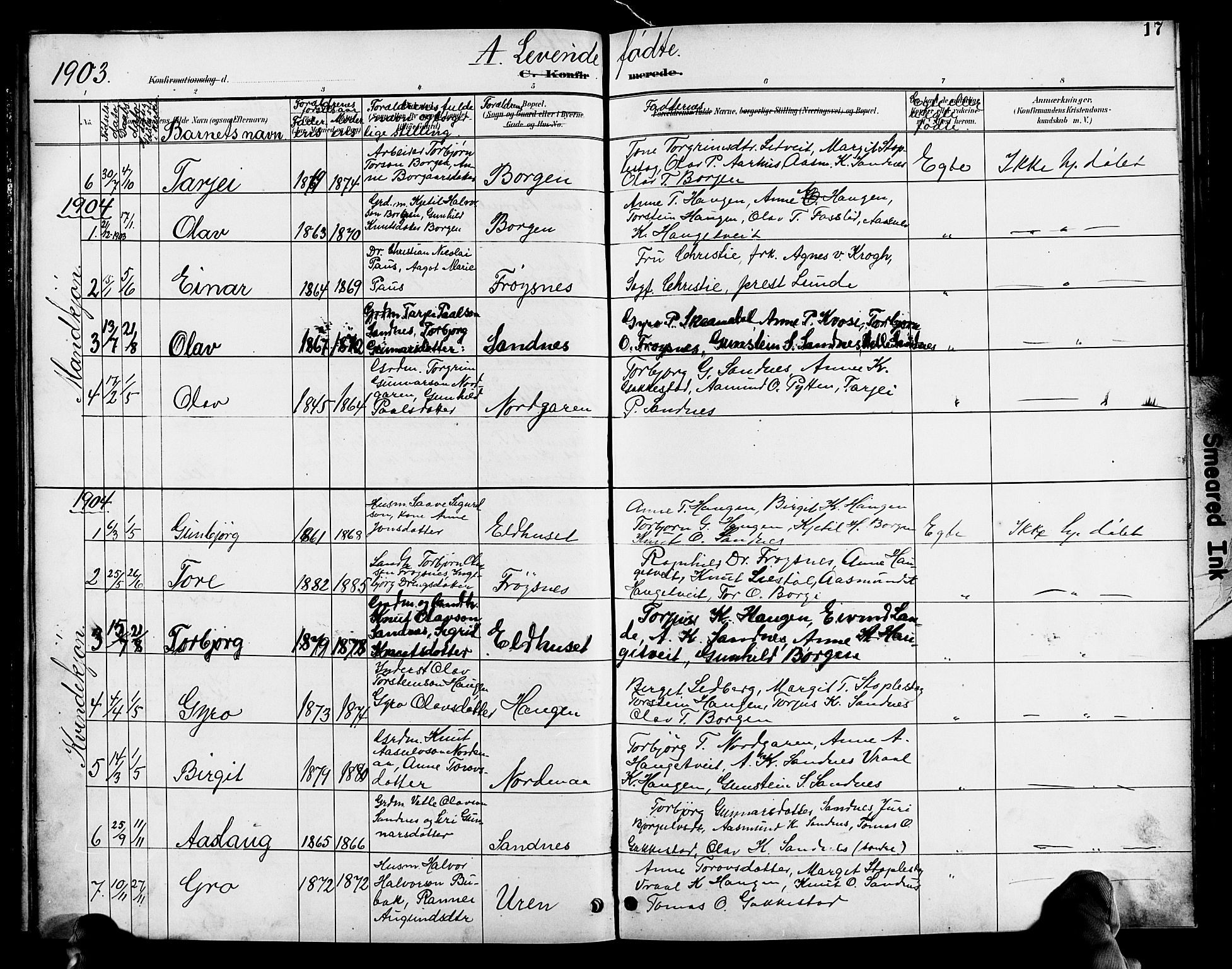 Bygland sokneprestkontor, SAK/1111-0006/F/Fb/Fbc/L0002: Parish register (copy) no. B 2, 1895-1916, p. 17