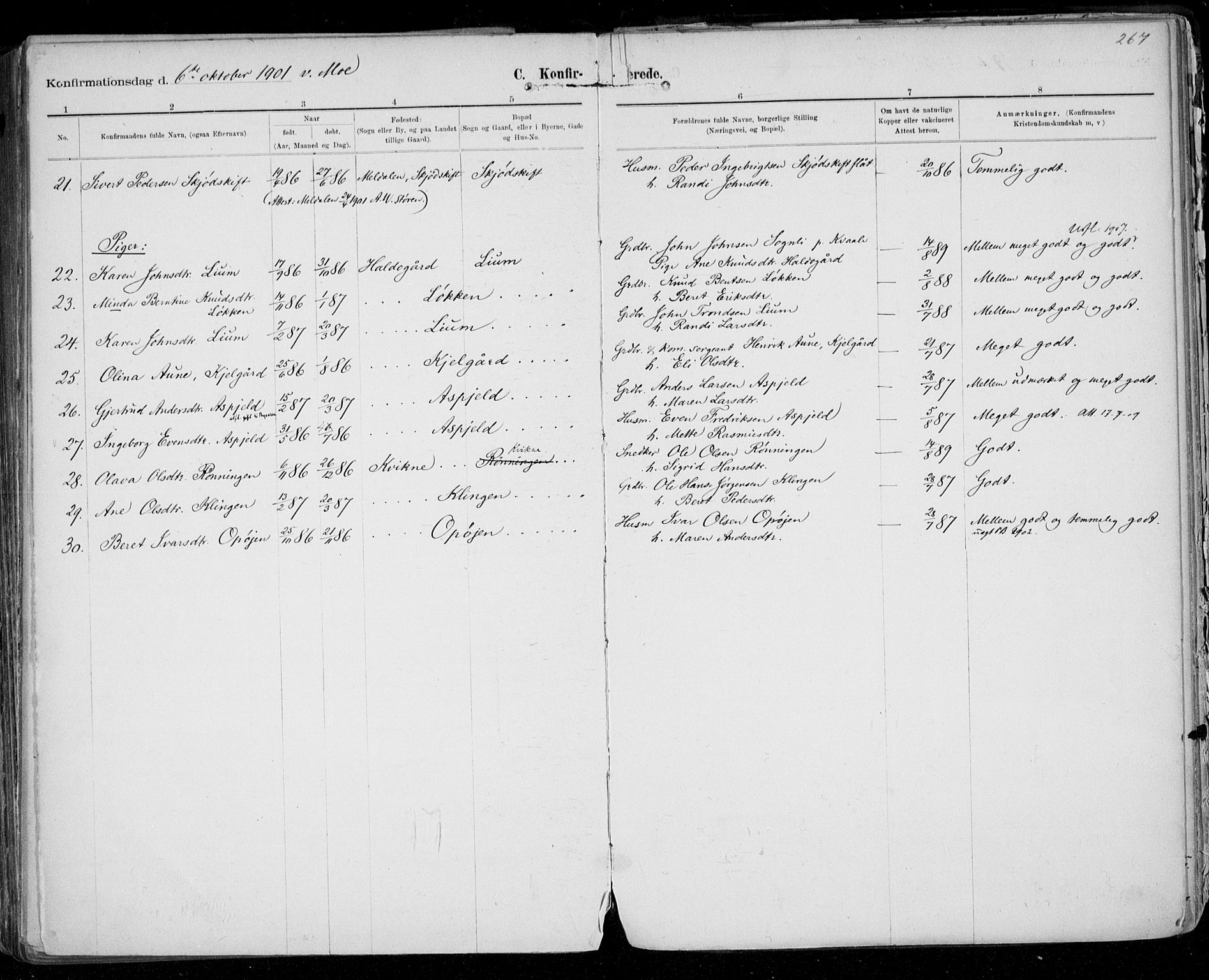 Ministerialprotokoller, klokkerbøker og fødselsregistre - Sør-Trøndelag, AV/SAT-A-1456/668/L0811: Parish register (official) no. 668A11, 1894-1913, p. 267