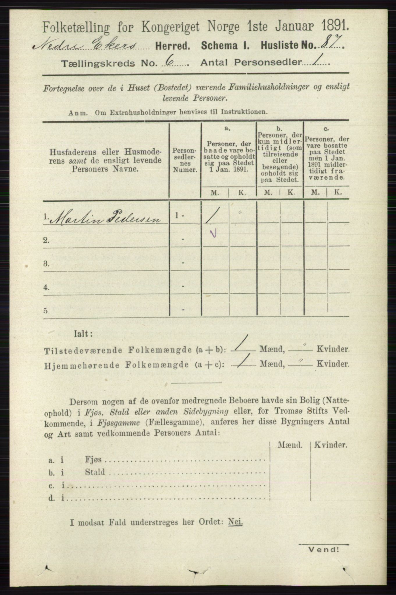 RA, 1891 census for 0625 Nedre Eiker, 1891, p. 2891