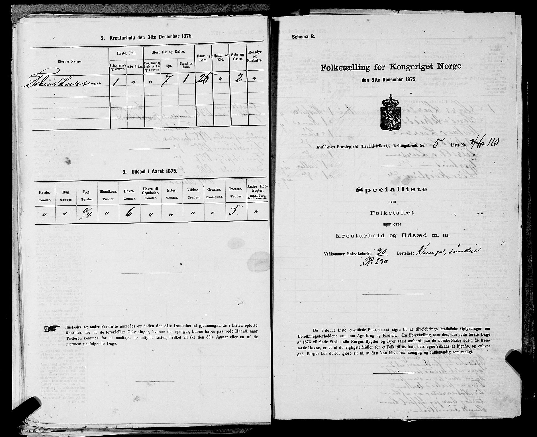 SAST, 1875 census for 1147L Avaldsnes/Avaldsnes og Kopervik, 1875, p. 893