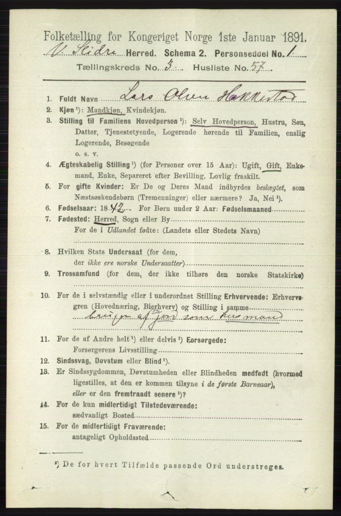 RA, 1891 census for 0543 Vestre Slidre, 1891, p. 1170