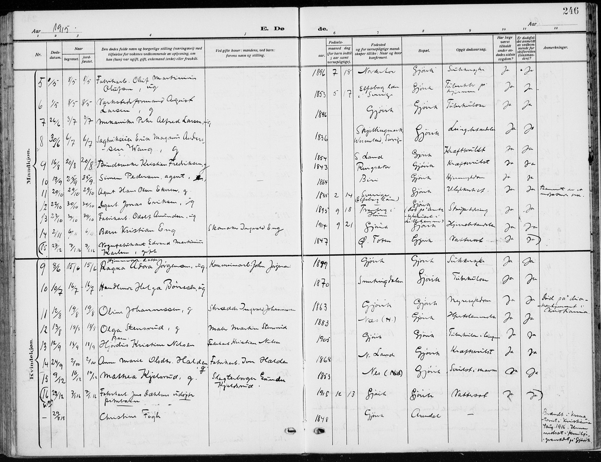 Vardal prestekontor, SAH/PREST-100/H/Ha/Haa/L0014: Parish register (official) no. 14, 1912-1922, p. 246