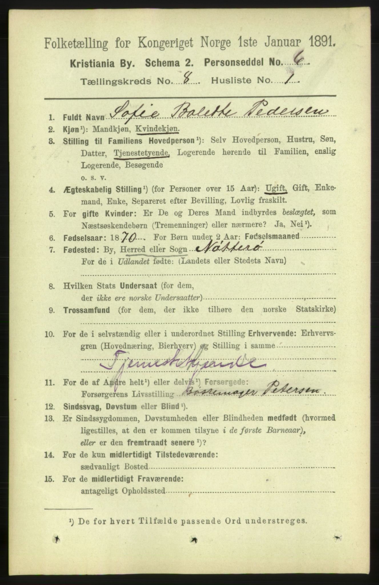 RA, 1891 census for 0301 Kristiania, 1891, p. 3336