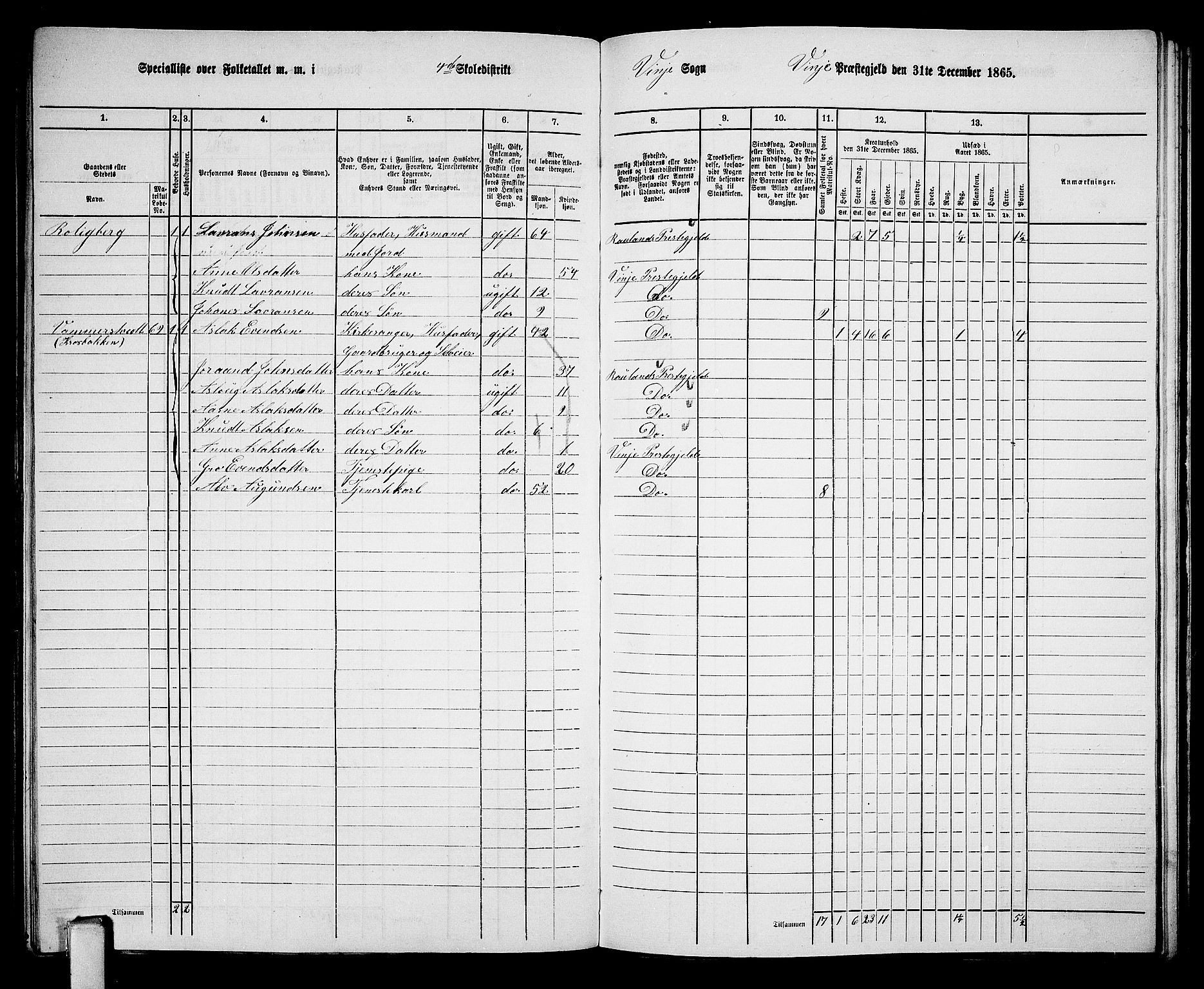 RA, 1865 census for Vinje, 1865, p. 42