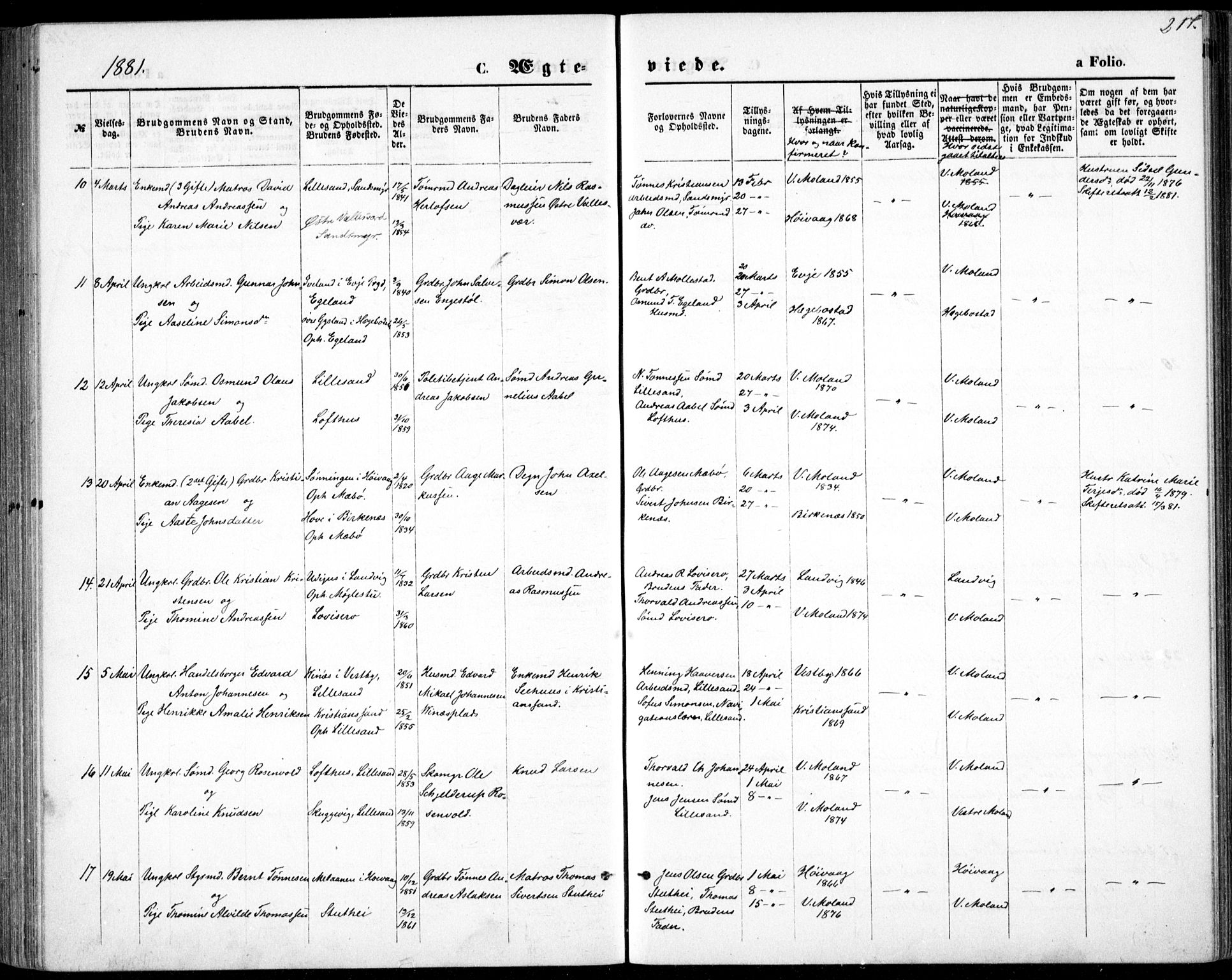 Vestre Moland sokneprestkontor, AV/SAK-1111-0046/F/Fb/Fbb/L0005: Parish register (copy) no. B 5, 1872-1883, p. 217