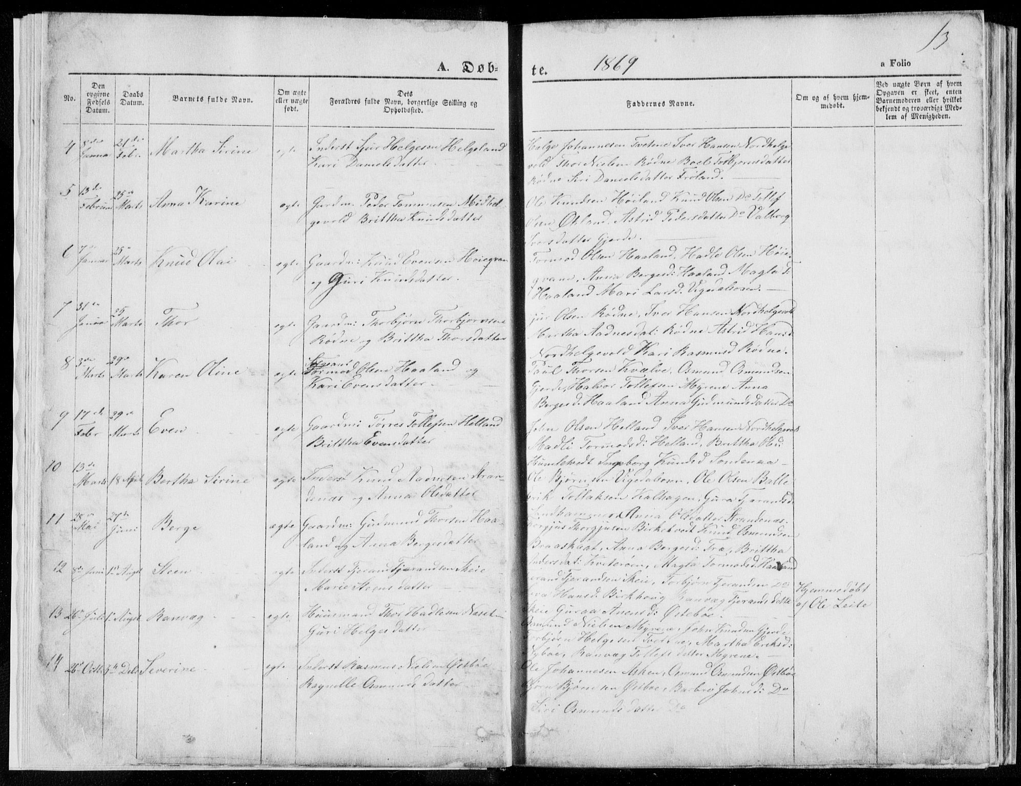 Vikedal sokneprestkontor, SAST/A-101840/01/V: Parish register (copy) no. B 10, 1864-1926, p. 13