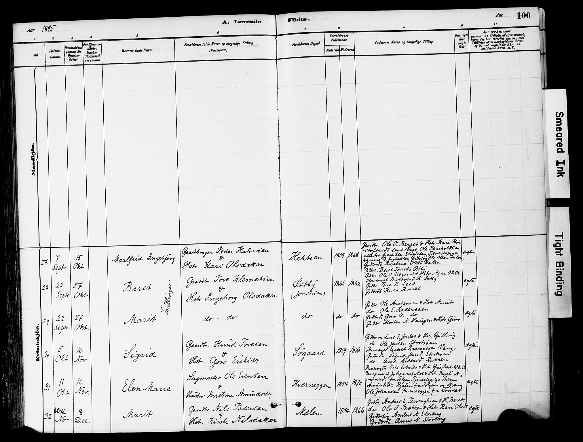 Tynset prestekontor, SAH/PREST-058/H/Ha/Haa/L0022: Parish register (official) no. 22, 1880-1899, p. 100