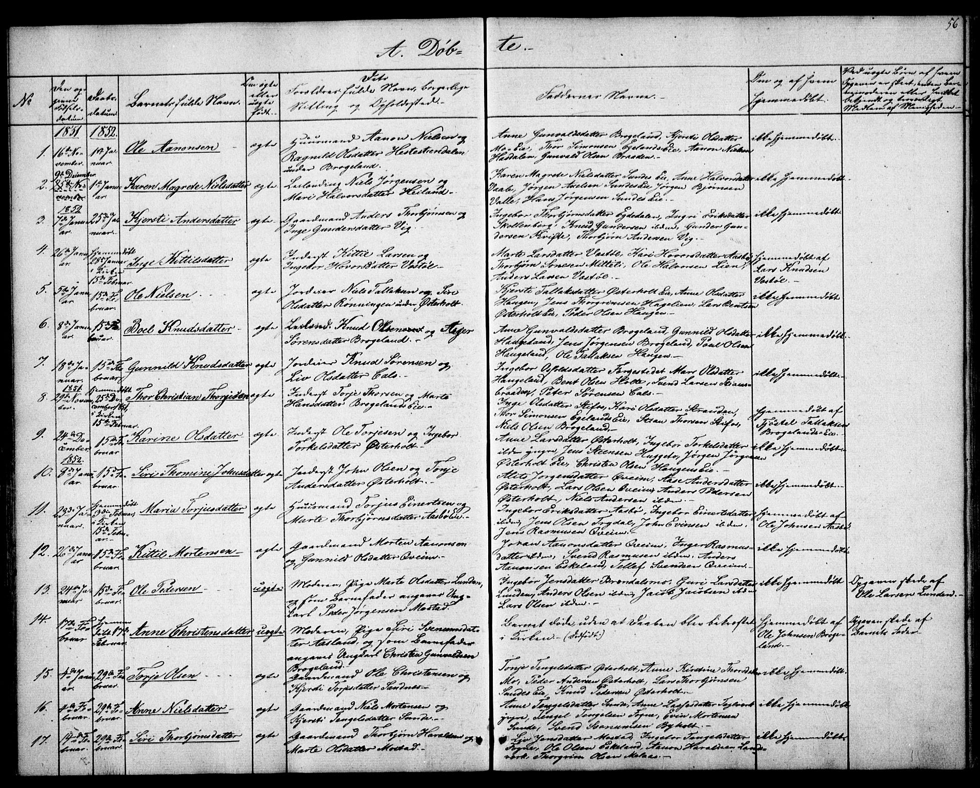 Gjerstad sokneprestkontor, SAK/1111-0014/F/Fa/Faa/L0006: Parish register (official) no. A 6, 1841-1857, p. 56