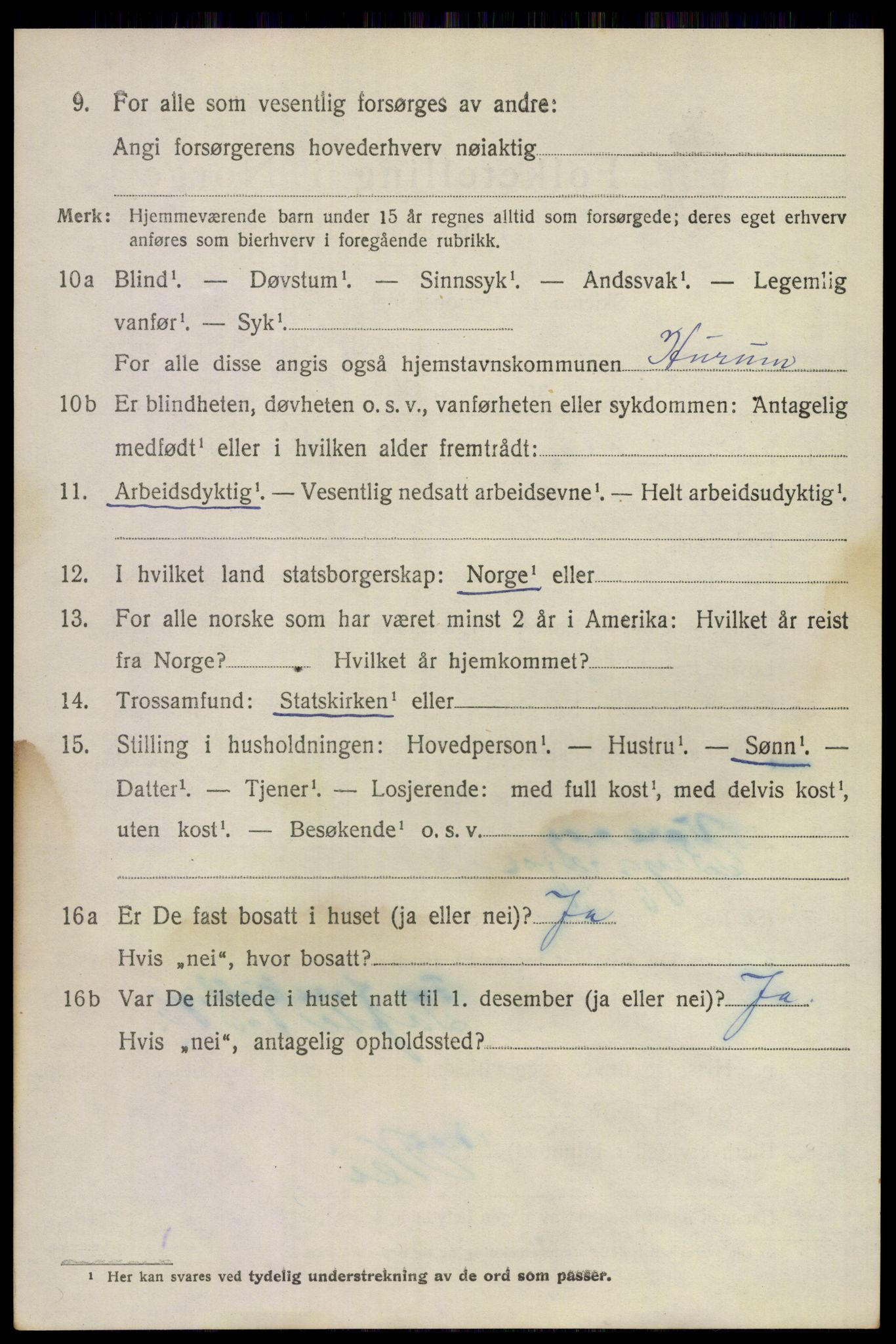 SAKO, 1920 census for Hurum, 1920, p. 11989