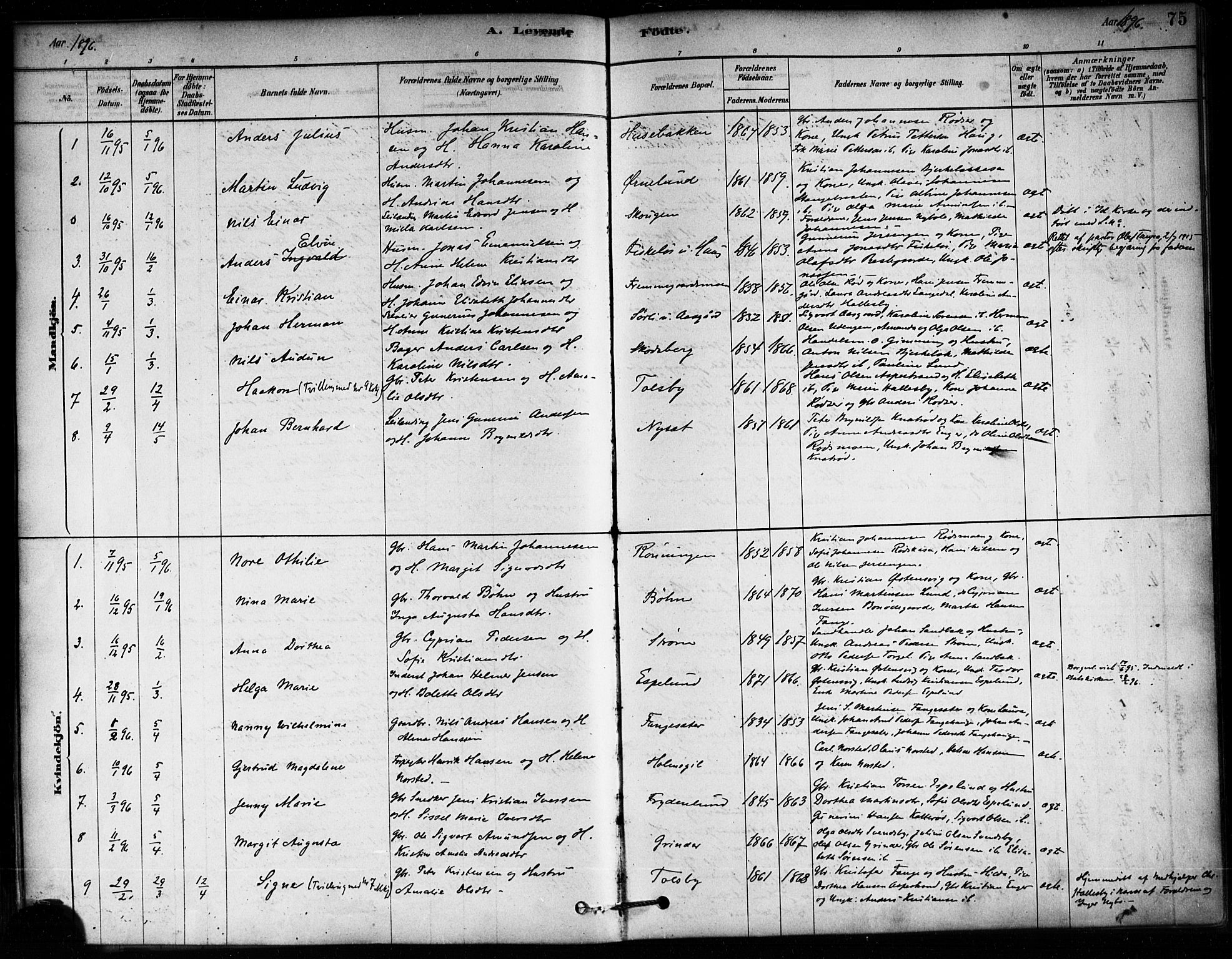 Aremark prestekontor Kirkebøker, AV/SAO-A-10899/F/Fa/L0005: Parish register (official) no. I 5, 1878-1897, p. 75