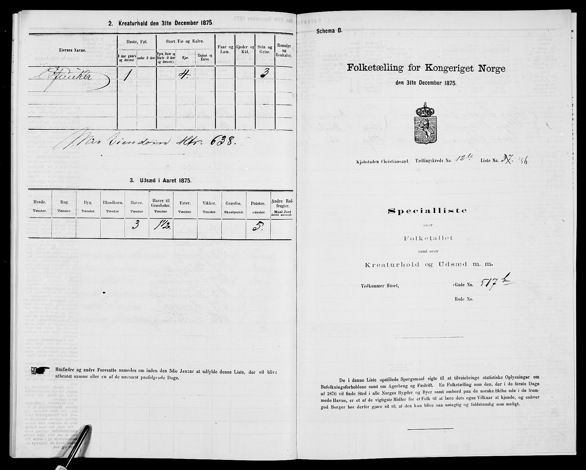 SAK, 1875 census for 1001P Kristiansand, 1875, p. 2000