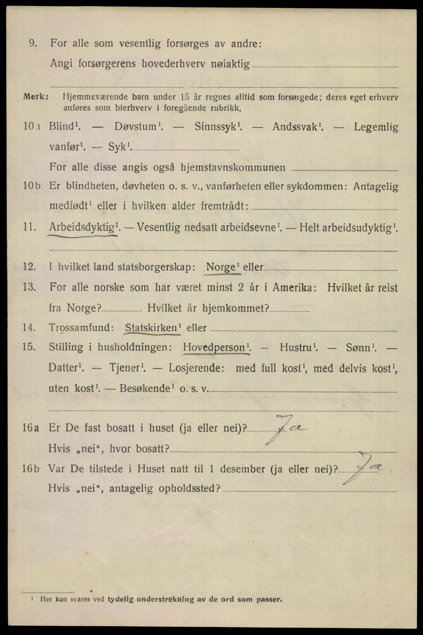 SAKO, 1920 census for Skien, 1920, p. 41017