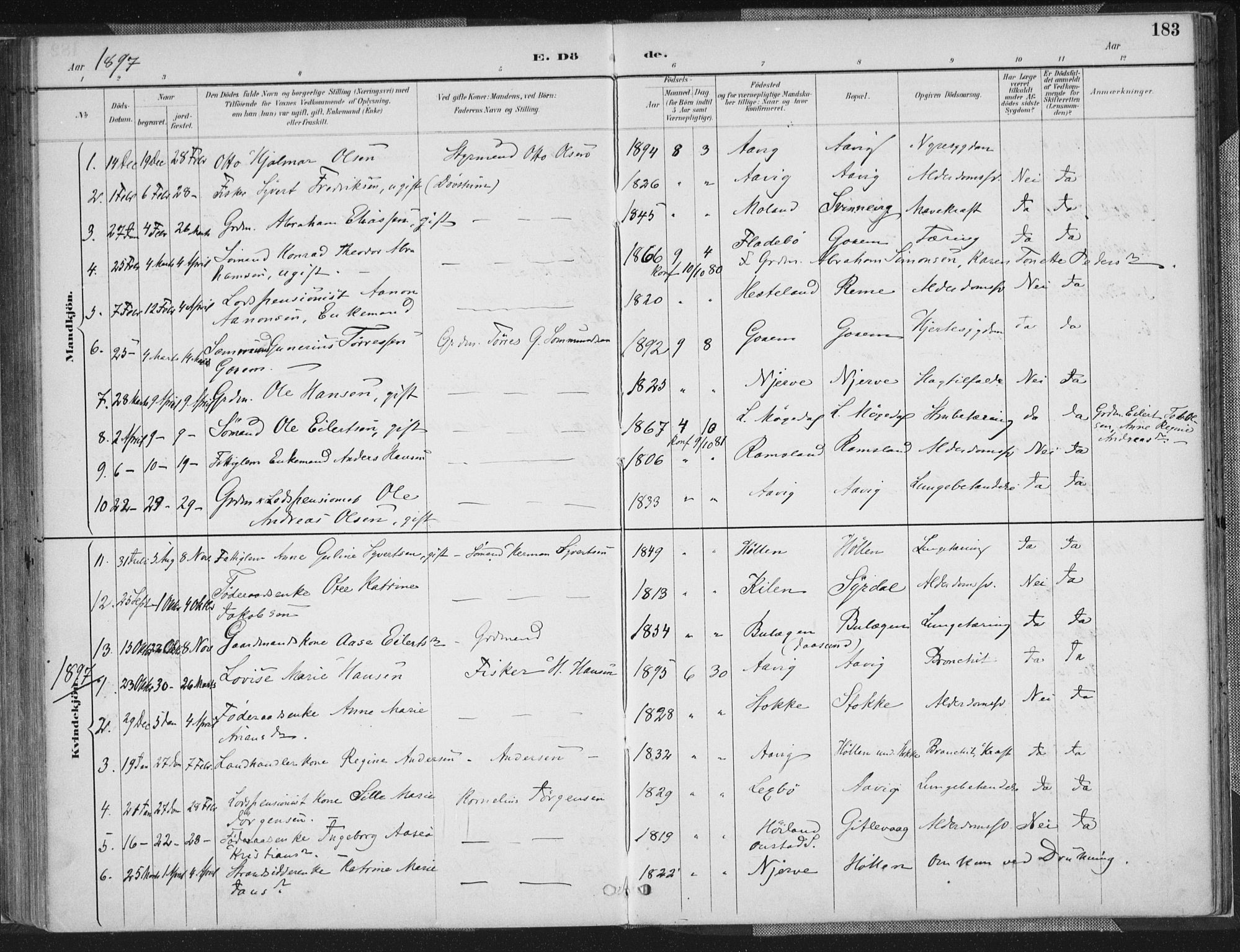 Sør-Audnedal sokneprestkontor, SAK/1111-0039/F/Fa/Faa/L0004: Parish register (official) no. A 4, 1884-1909, p. 183