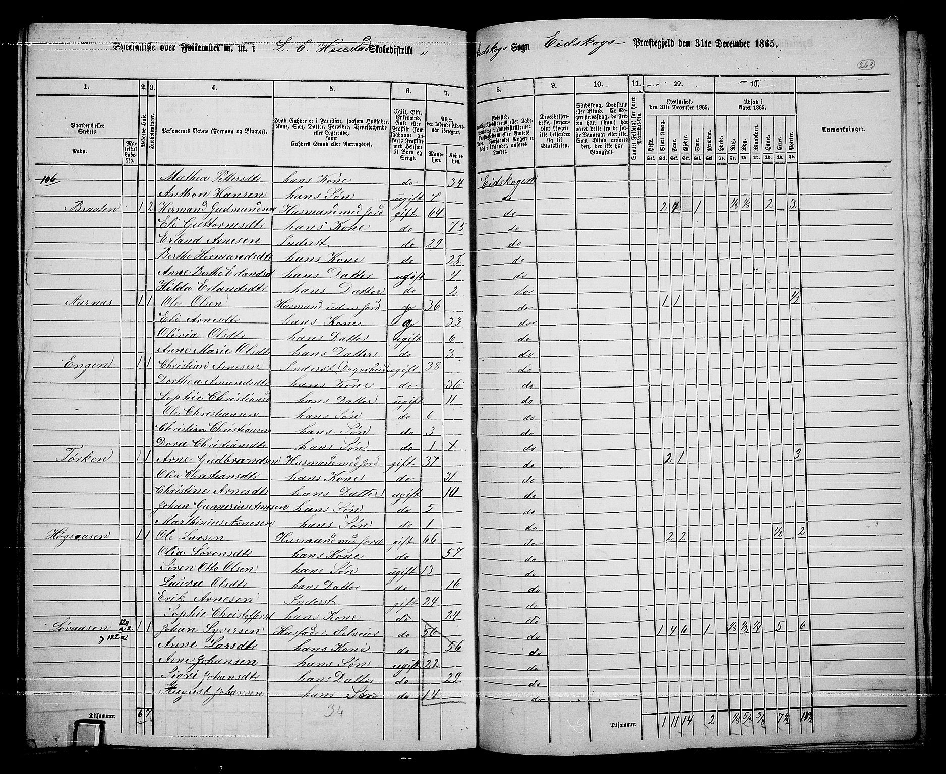 RA, 1865 census for Eidskog, 1865, p. 244