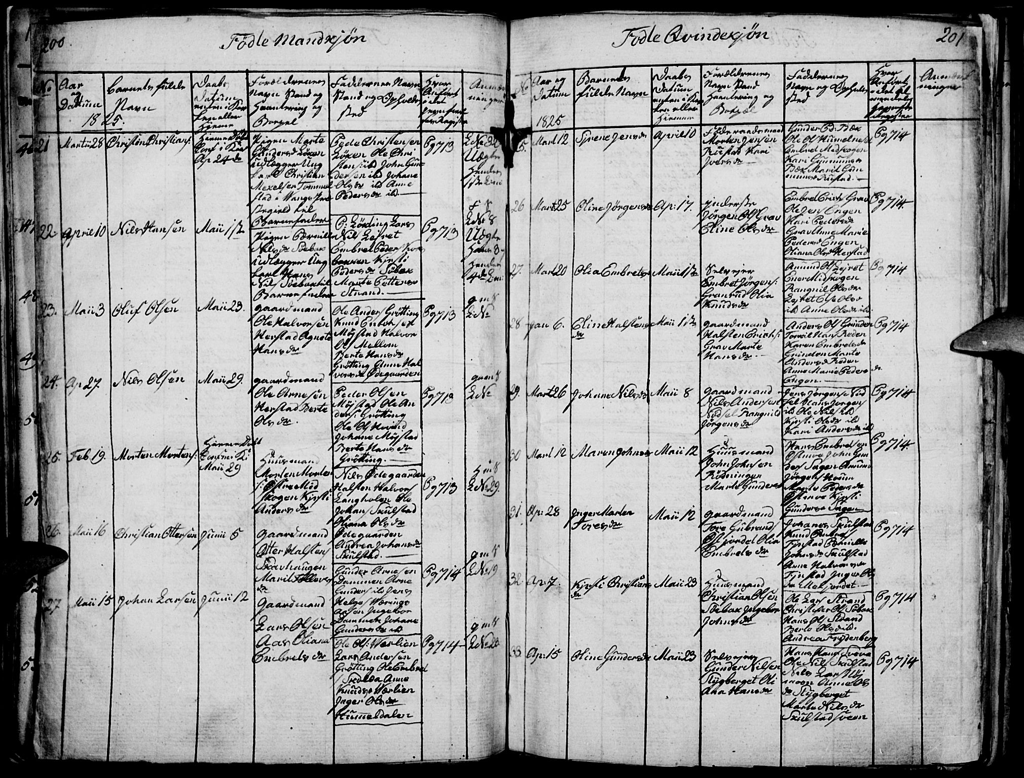 Elverum prestekontor, AV/SAH-PREST-044/H/Ha/Haa/L0007: Parish register (official) no. 7, 1815-1830, p. 200-201