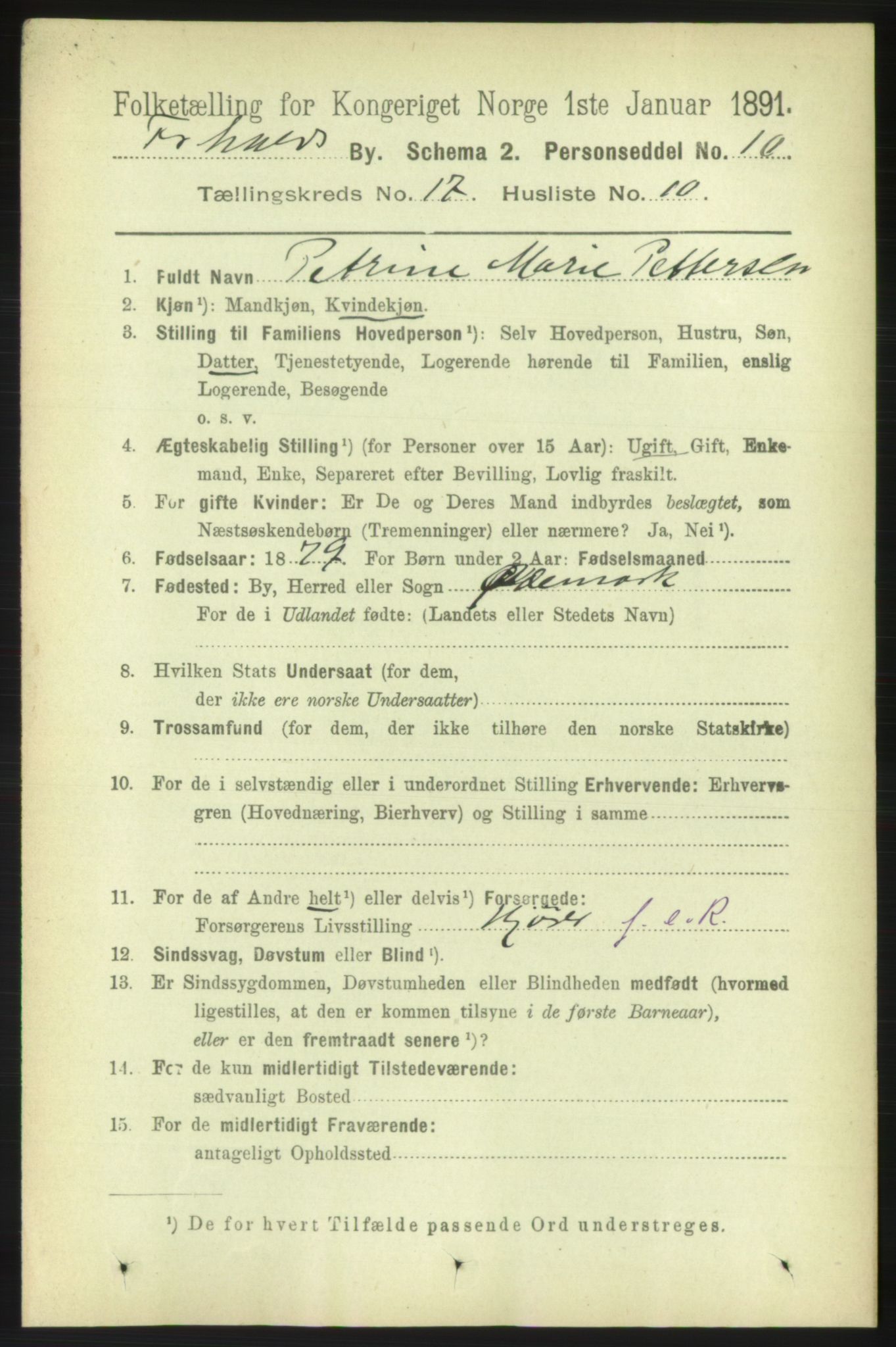 RA, 1891 census for 0101 Fredrikshald, 1891, p. 11005