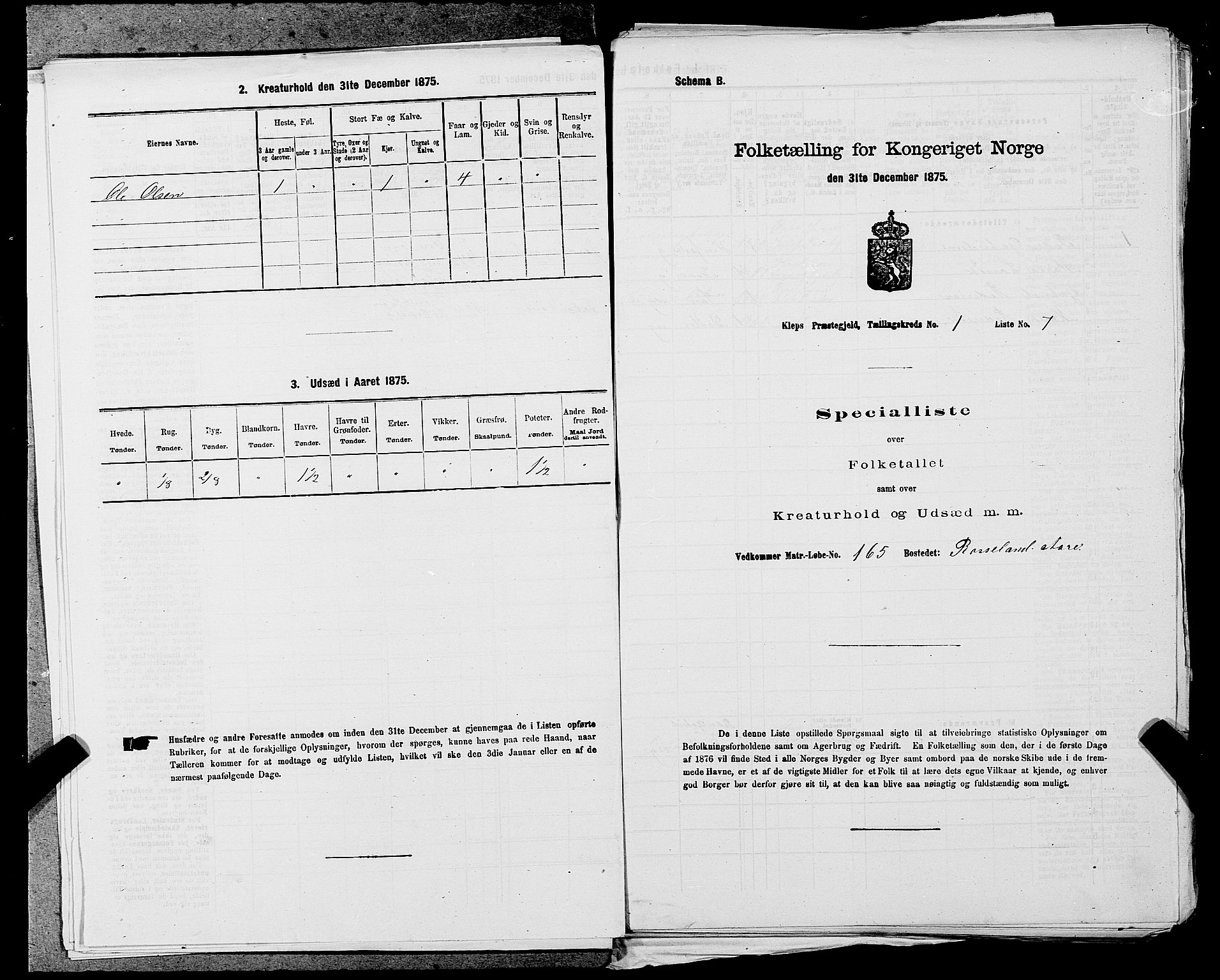 SAST, 1875 census for 1120P Klepp, 1875, p. 49