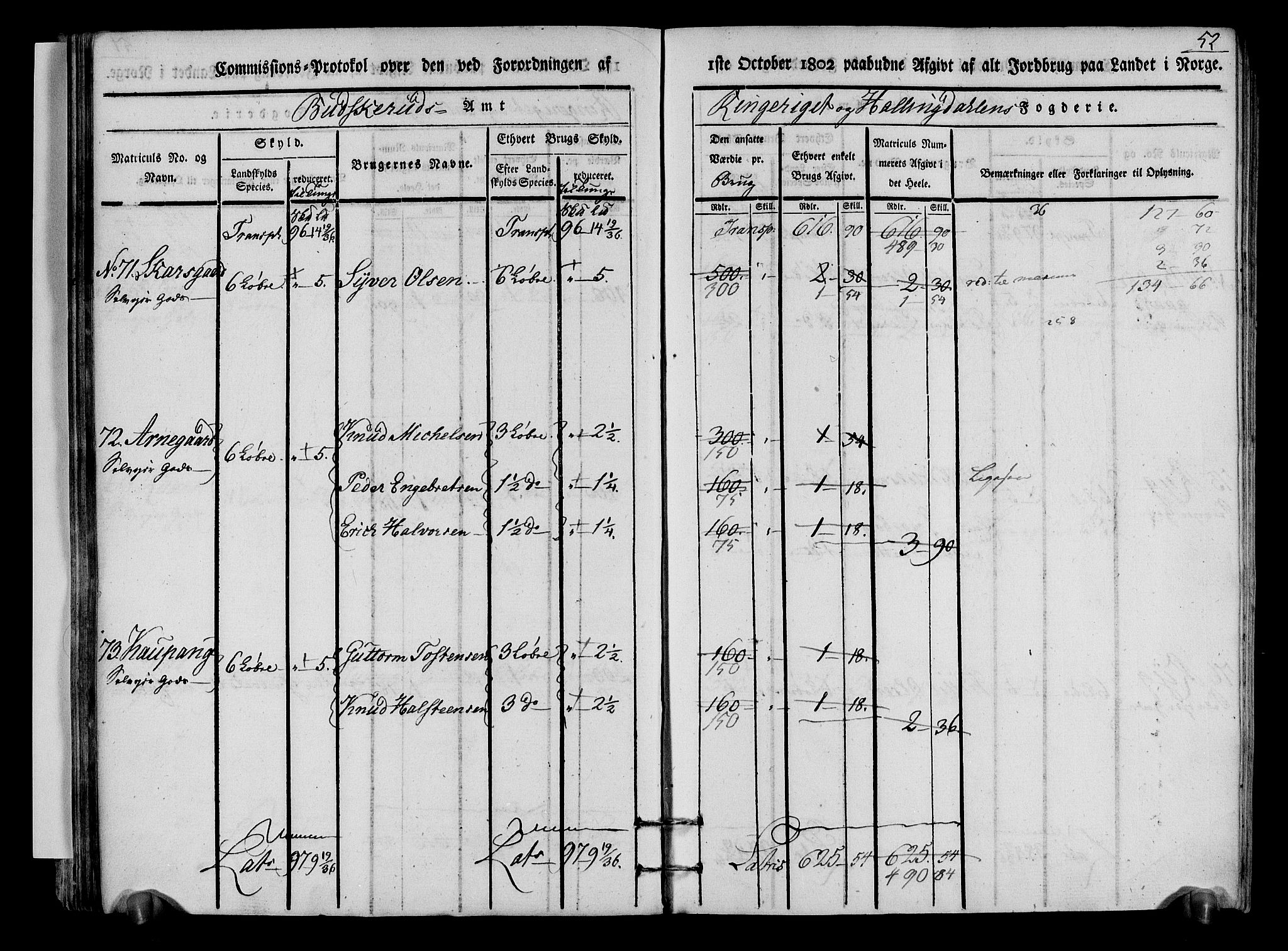 Rentekammeret inntil 1814, Realistisk ordnet avdeling, AV/RA-EA-4070/N/Ne/Nea/L0048: Ringerike og Hallingdal fogderi. Kommisjonsprotokoll for Ål prestegjeld, 1803, p. 55