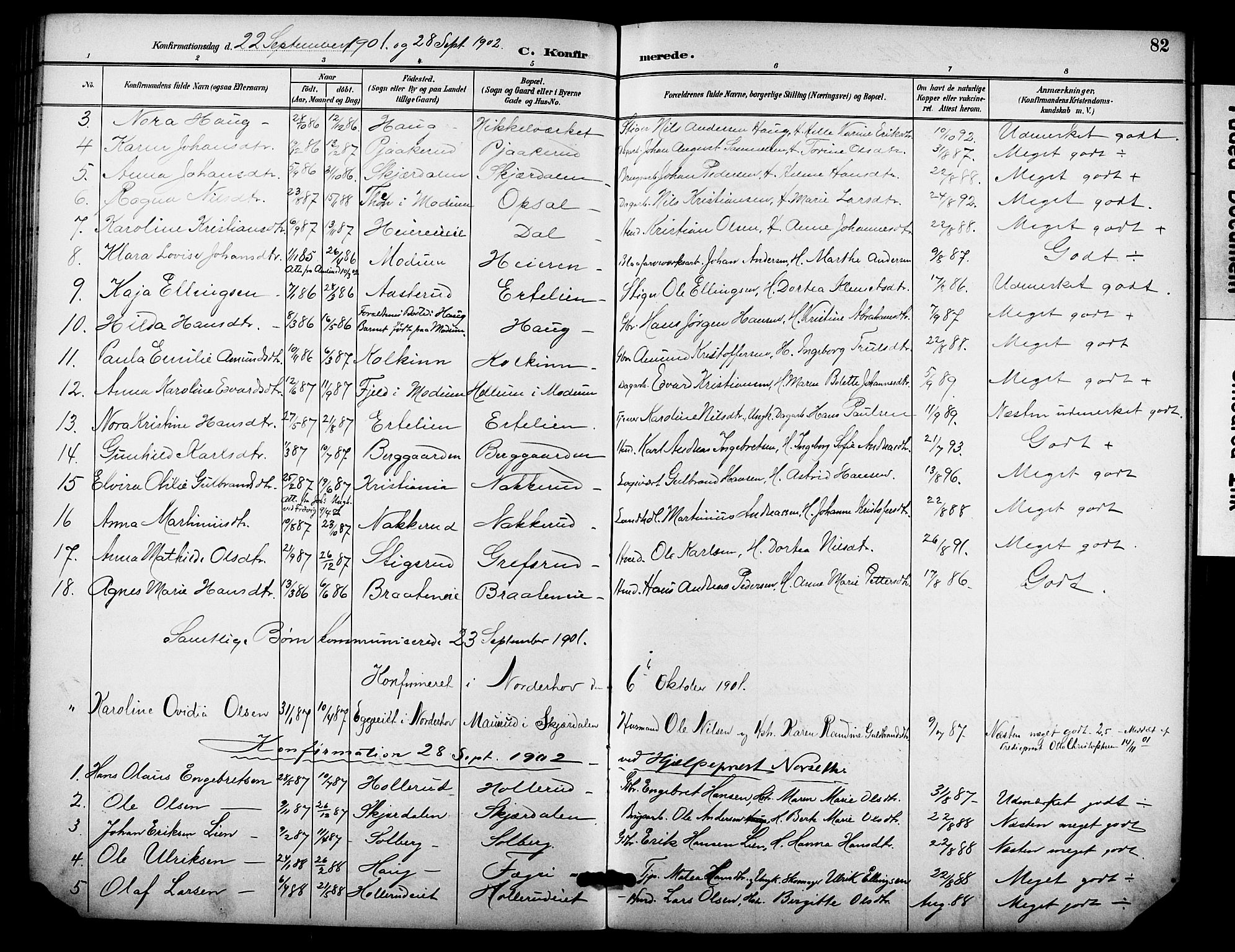 Hole kirkebøker, SAKO/A-228/F/Fb/L0002: Parish register (official) no. II 2, 1892-1906, p. 82