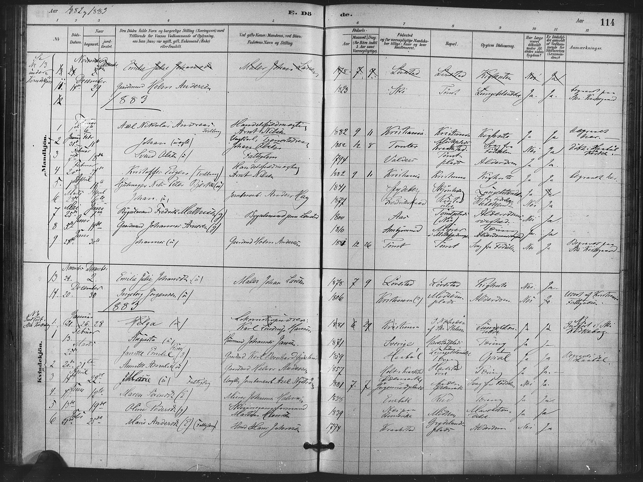 Kråkstad prestekontor Kirkebøker, AV/SAO-A-10125a/F/Fa/L0009: Parish register (official) no. I 9, 1880-1892, p. 114