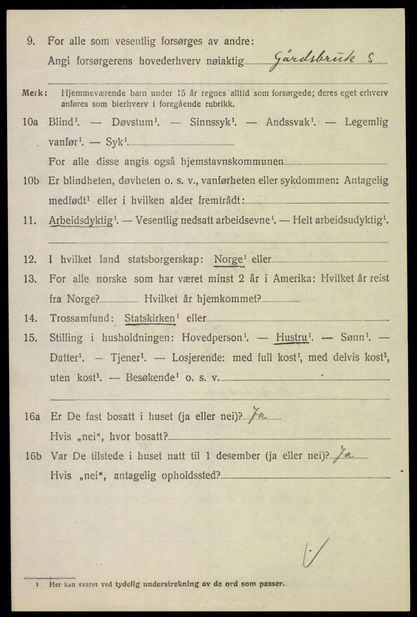 SAH, 1920 census for Alvdal, 1920, p. 1455