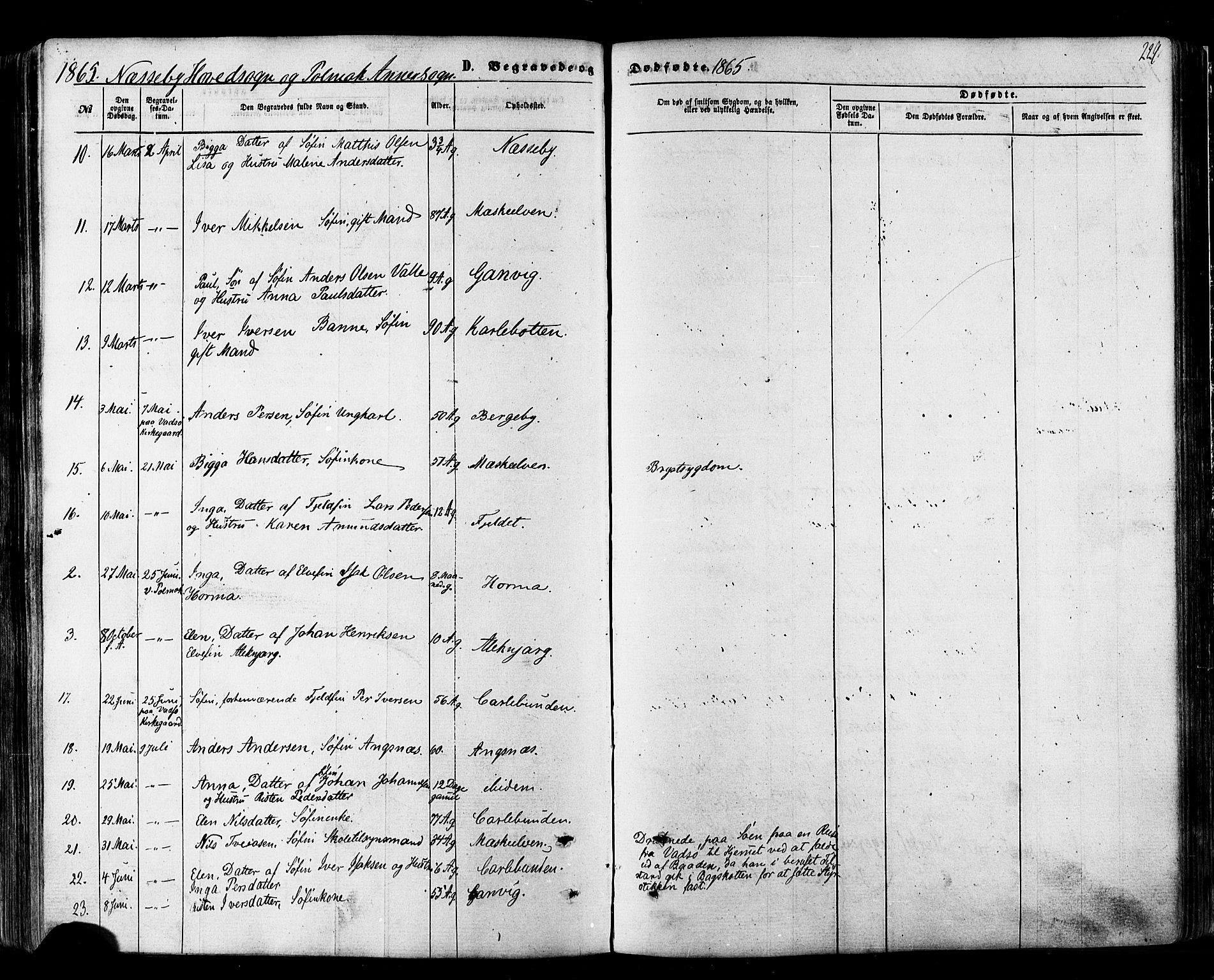 Nesseby sokneprestkontor, SATØ/S-1330/H/Ha/L0003kirke: Parish register (official) no. 3 /1, 1865-1876, p. 229