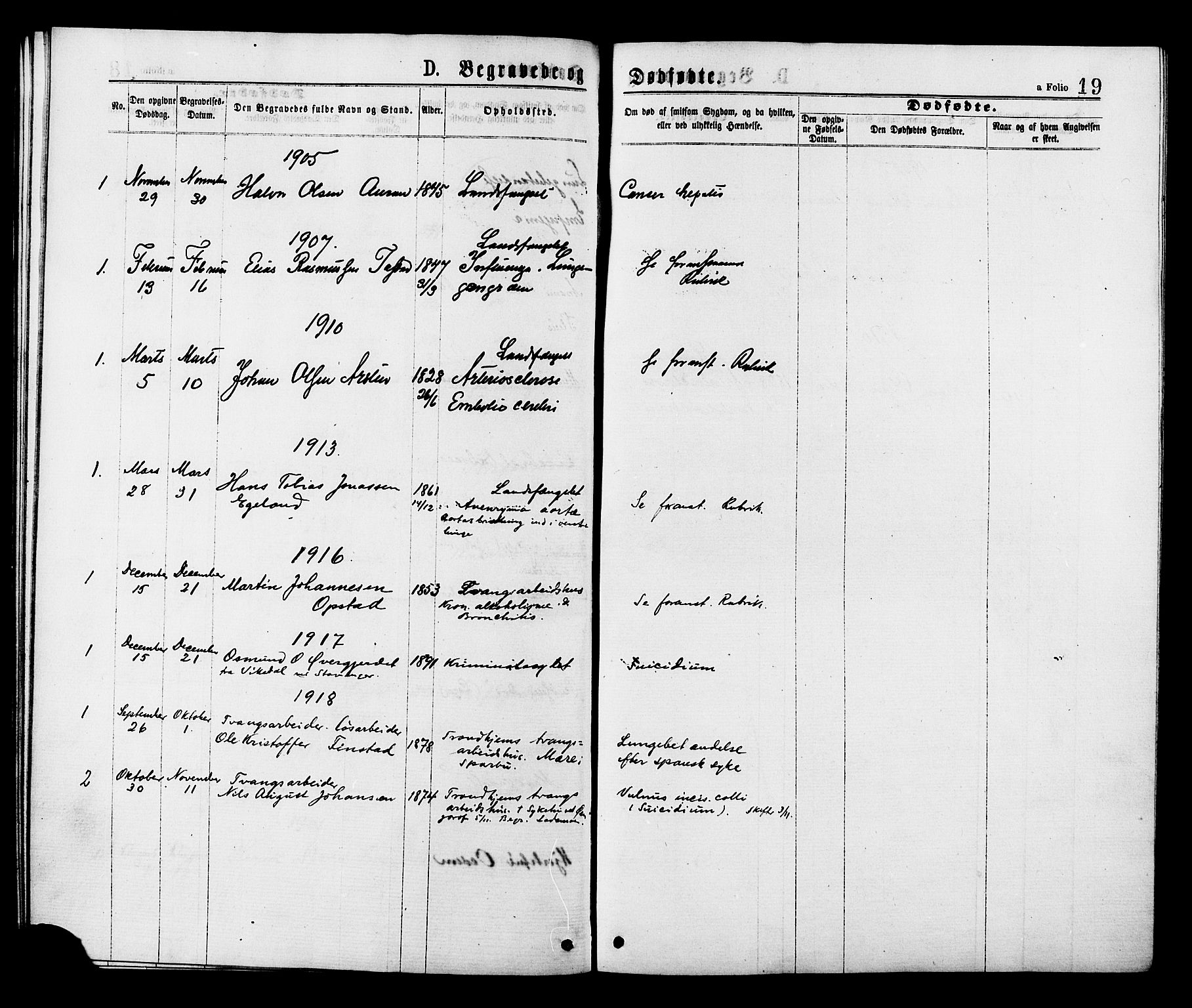 Ministerialprotokoller, klokkerbøker og fødselsregistre - Sør-Trøndelag, SAT/A-1456/624/L0482: Parish register (official) no. 624A03, 1870-1918, p. 19