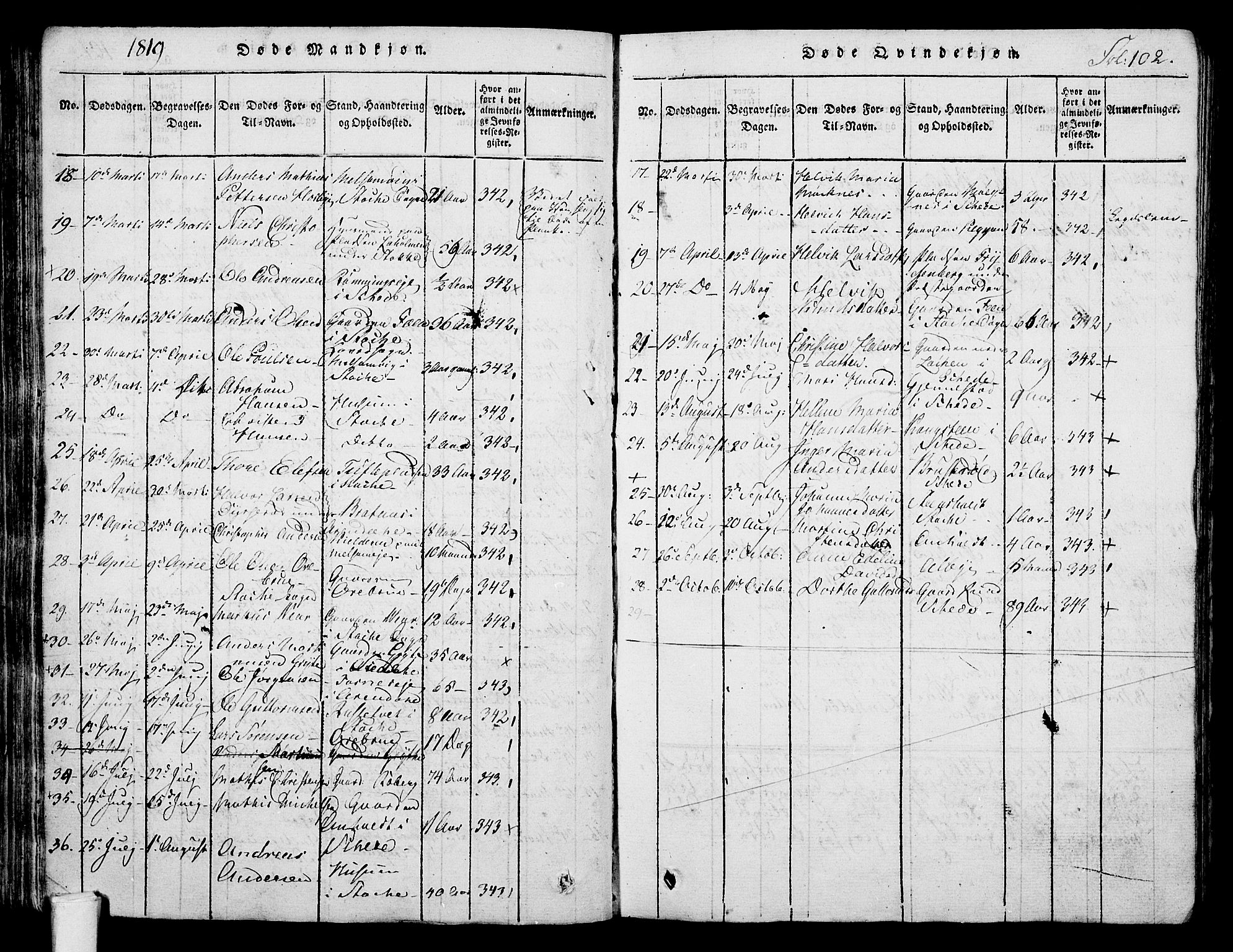 Stokke kirkebøker, AV/SAKO-A-320/F/Fa/L0005: Parish register (official) no. I 5, 1815-1826, p. 102