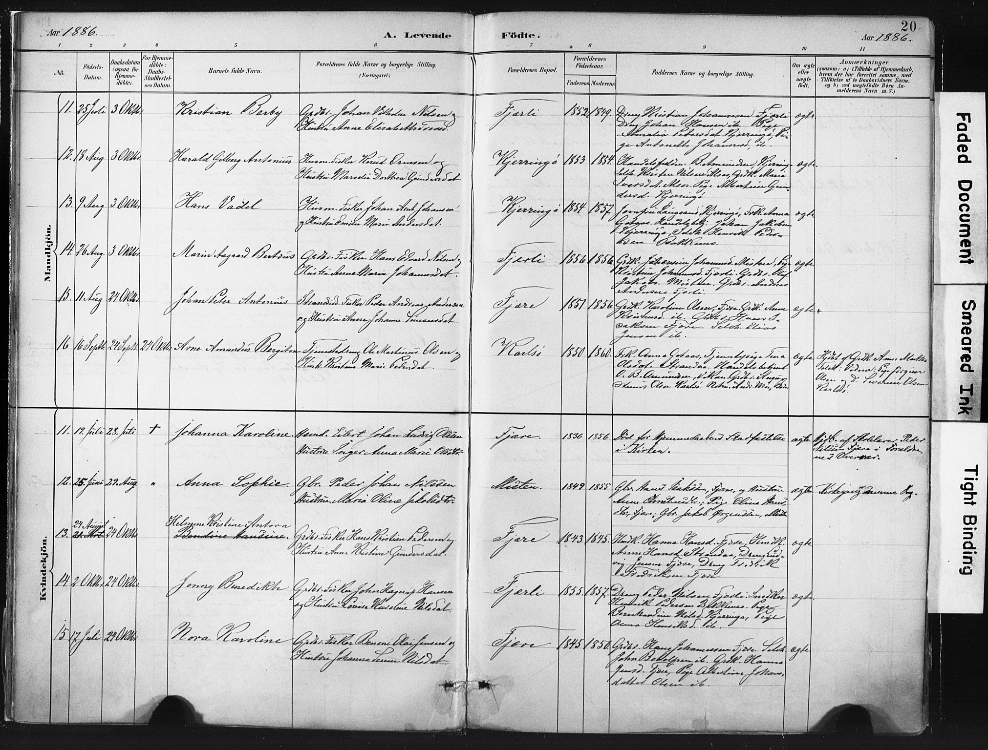Ministerialprotokoller, klokkerbøker og fødselsregistre - Nordland, SAT/A-1459/803/L0071: Parish register (official) no. 803A01, 1881-1897, p. 20