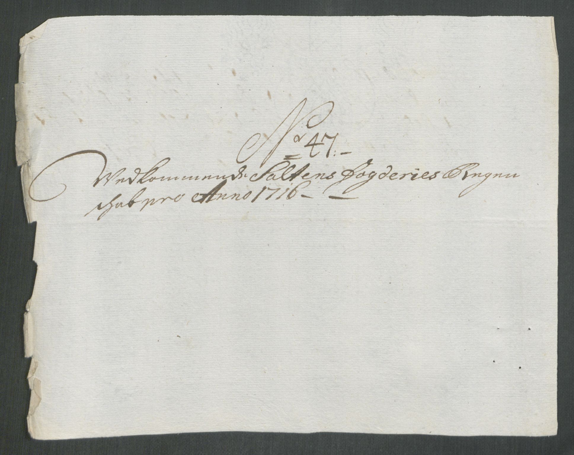 Rentekammeret inntil 1814, Reviderte regnskaper, Fogderegnskap, RA/EA-4092/R66/L4586: Fogderegnskap Salten, 1716, p. 261