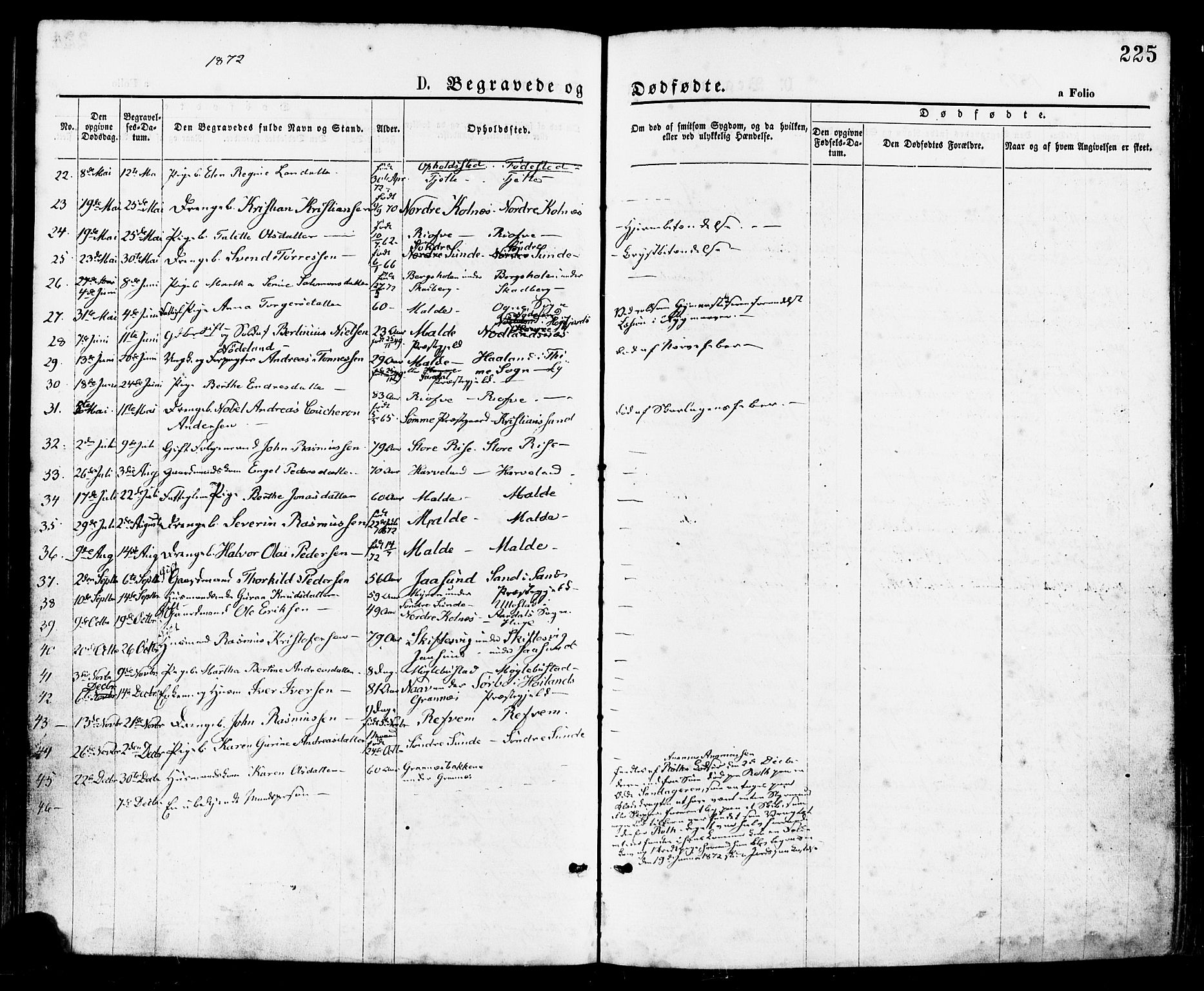 Håland sokneprestkontor, AV/SAST-A-101802/001/30BA/L0009: Parish register (official) no. A 8, 1871-1882, p. 225