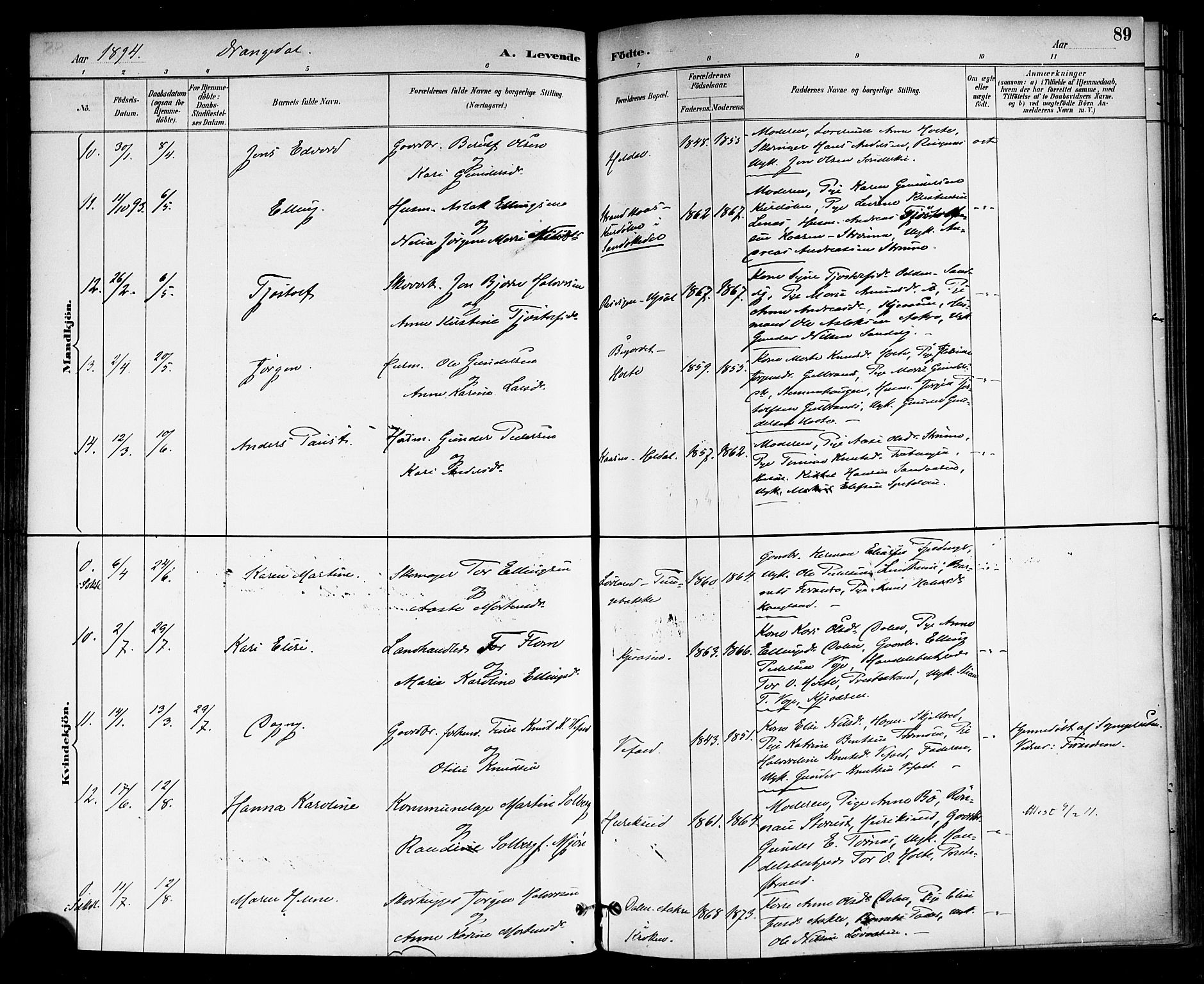 Drangedal kirkebøker, AV/SAKO-A-258/F/Fa/L0010: Parish register (official) no. 10 /1, 1885-1894, p. 89