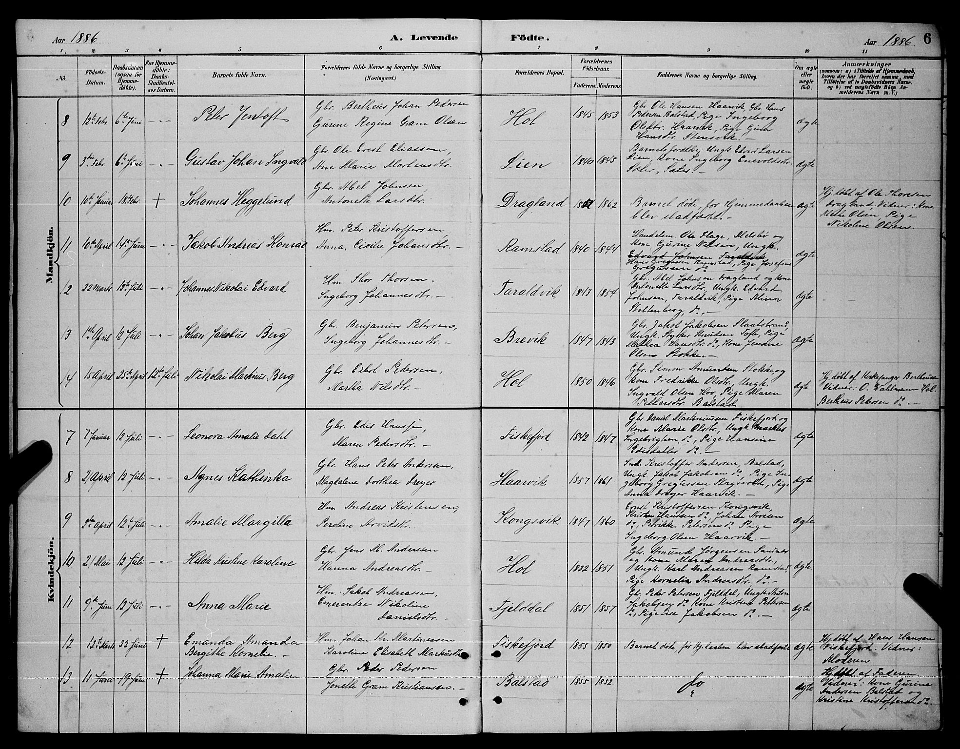 Ministerialprotokoller, klokkerbøker og fødselsregistre - Nordland, AV/SAT-A-1459/865/L0931: Parish register (copy) no. 865C03, 1885-1901, p. 6