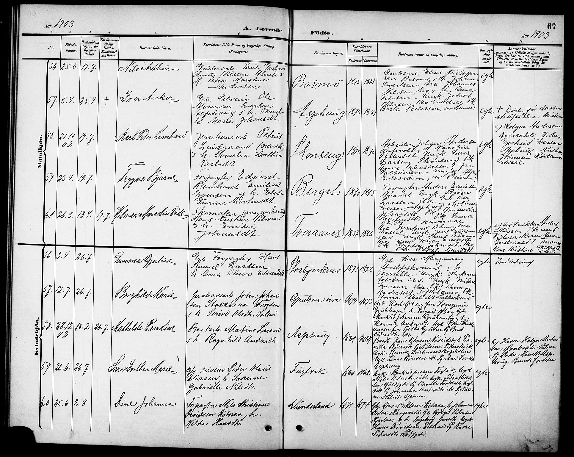 Ministerialprotokoller, klokkerbøker og fødselsregistre - Nordland, AV/SAT-A-1459/827/L0422: Parish register (copy) no. 827C11, 1899-1912, p. 67