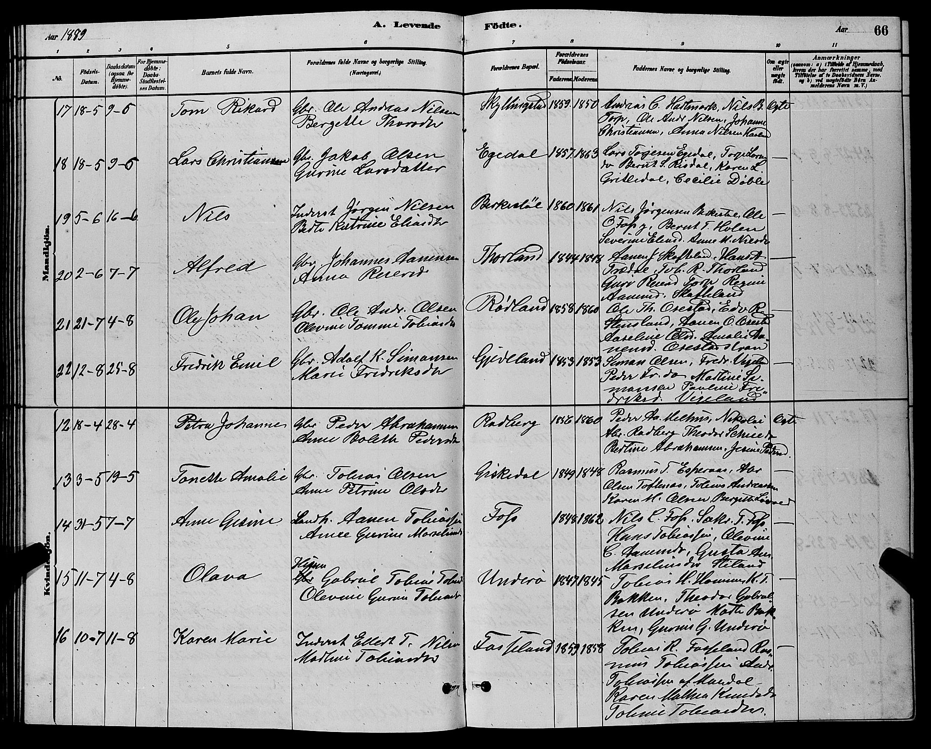 Sør-Audnedal sokneprestkontor, AV/SAK-1111-0039/F/Fb/Fbb/L0005: Parish register (copy) no. B 5, 1880-1892, p. 66