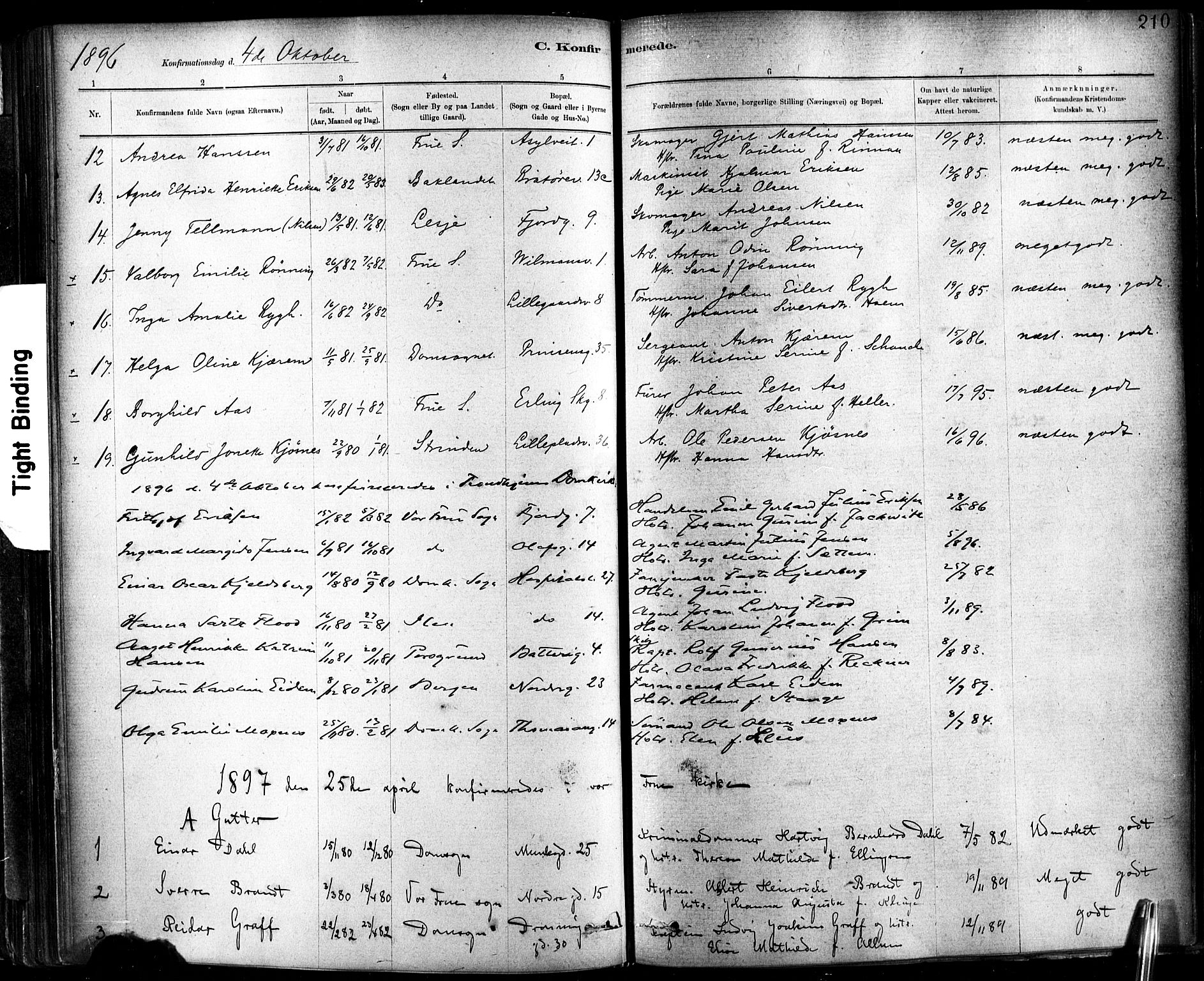 Ministerialprotokoller, klokkerbøker og fødselsregistre - Sør-Trøndelag, SAT/A-1456/602/L0119: Parish register (official) no. 602A17, 1880-1901, p. 210